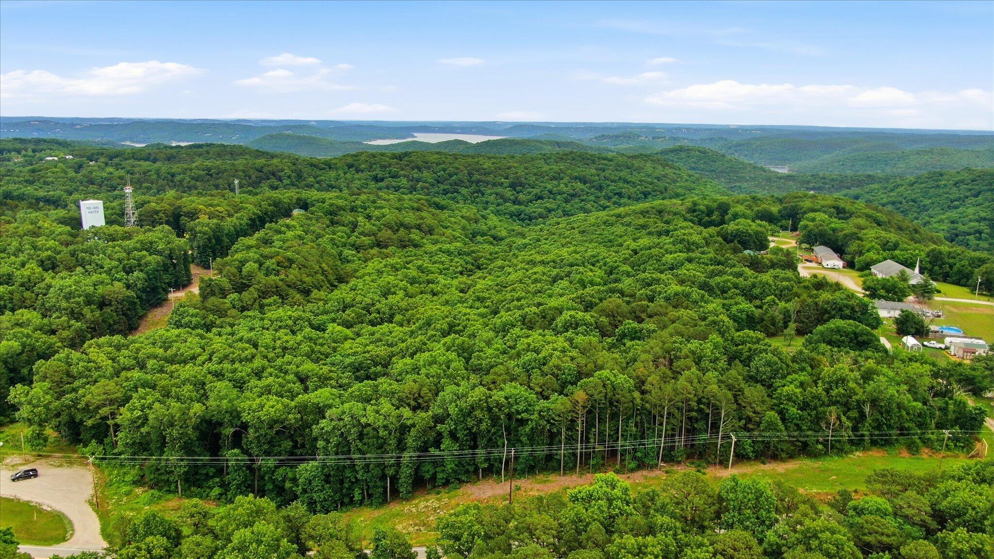 Photo 5 - Land for sale – 000  State Highway 13   Lampe, MO