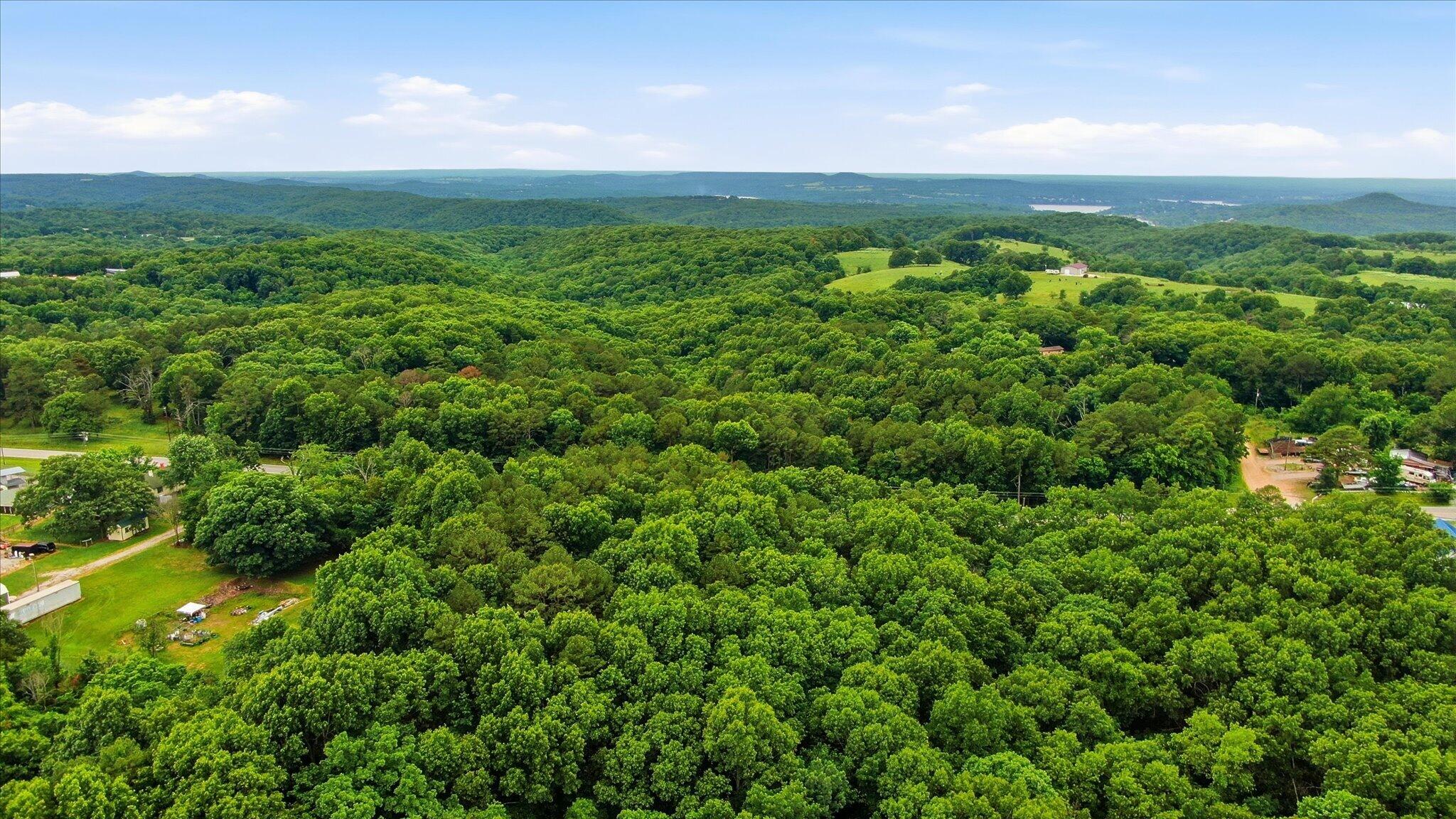 Photo 7 - Land for sale – 000  State Highway 13   Lampe, MO