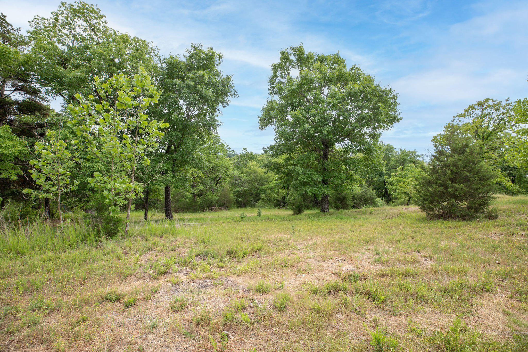 Photo 3 - Land for sale – Tbd  Bee Creek Road  Branson, MO