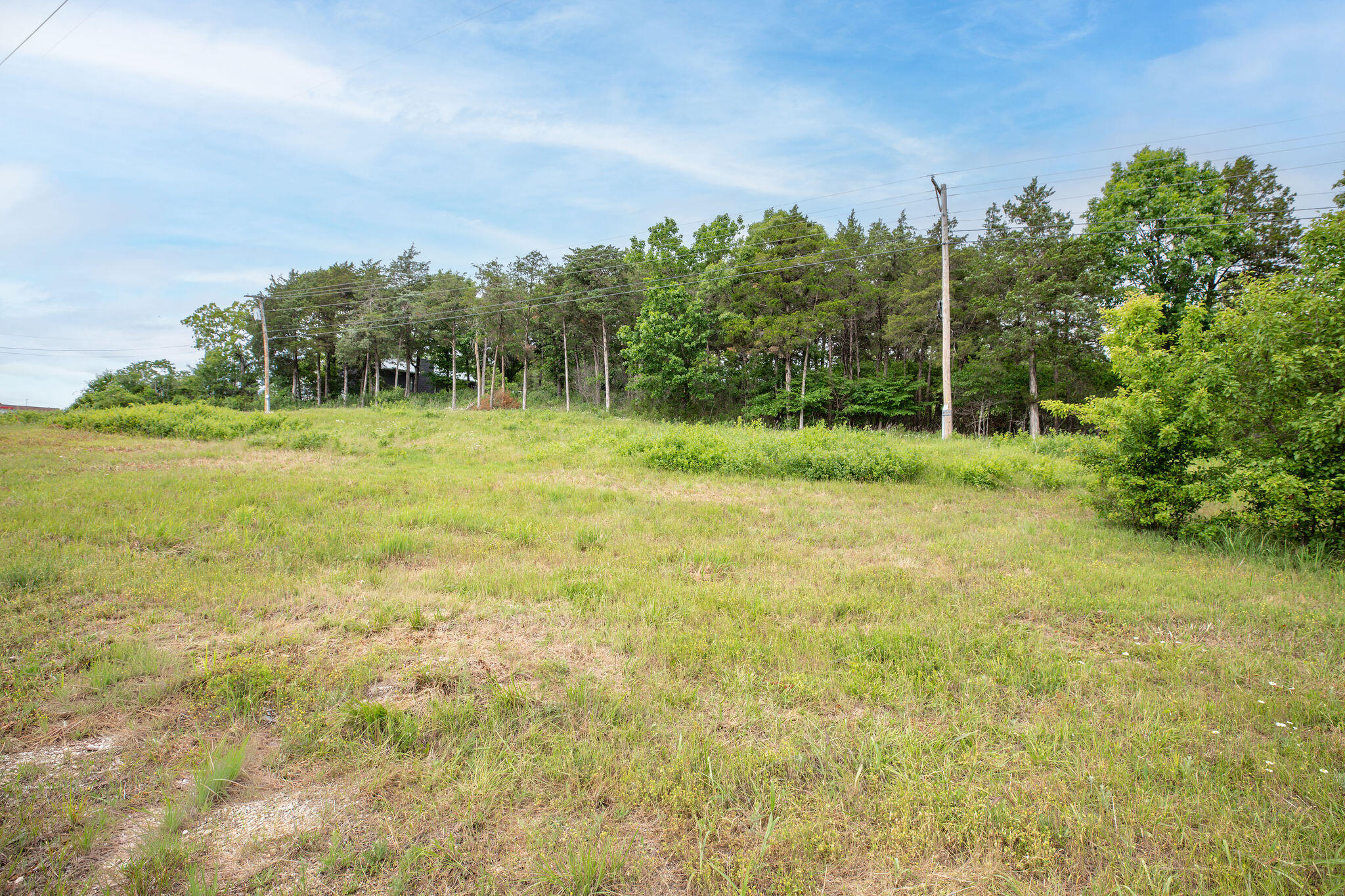 Photo 2 - Land for sale – Tbd  Bee Creek Road  Branson, MO