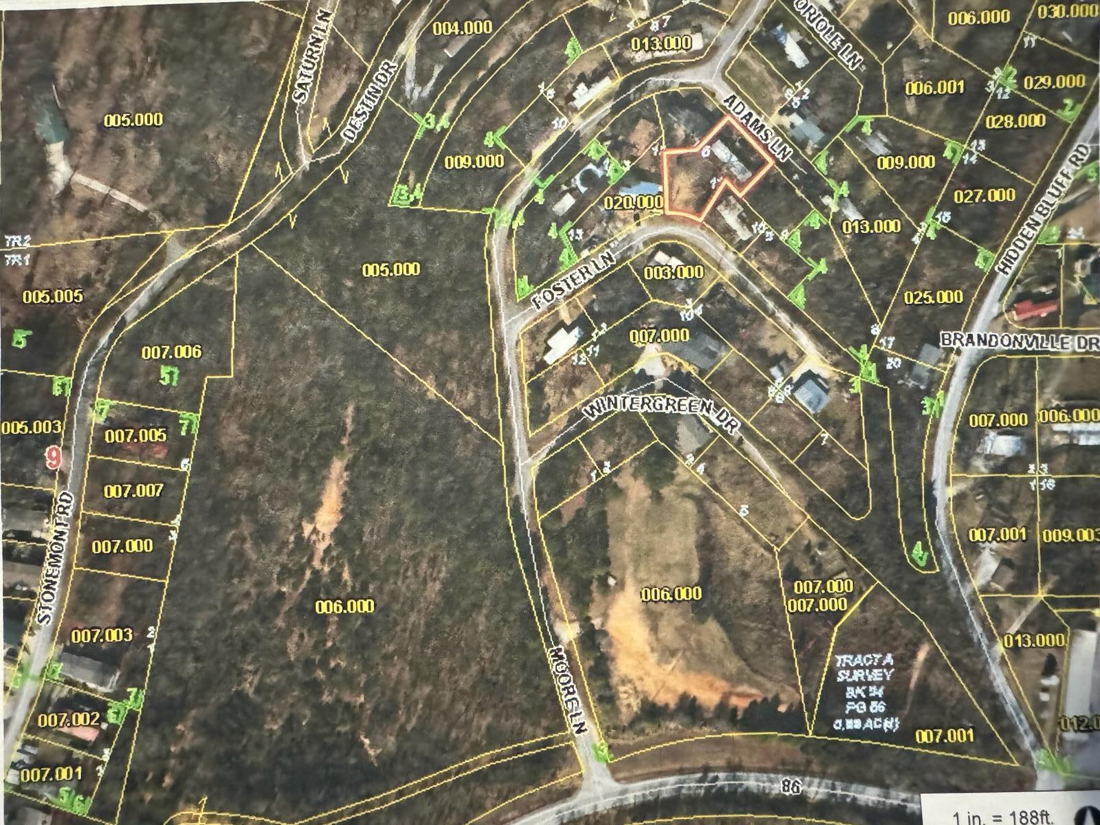 Photo 3 - Land for sale – 28  Adams Lane  Blue Eye, MO