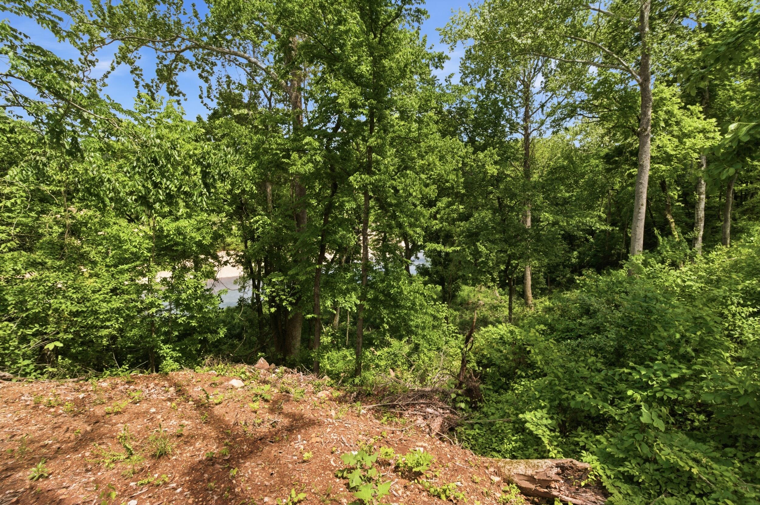 Photo 73 - Residential for sale – 18418  Circle B Road  Eminence, MO