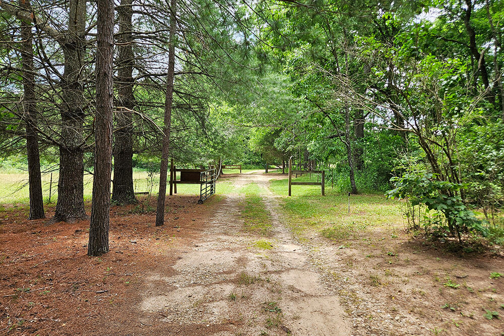 Photo 73 - Farm for sale – 2790  Stehle Road  Theodosia, MO