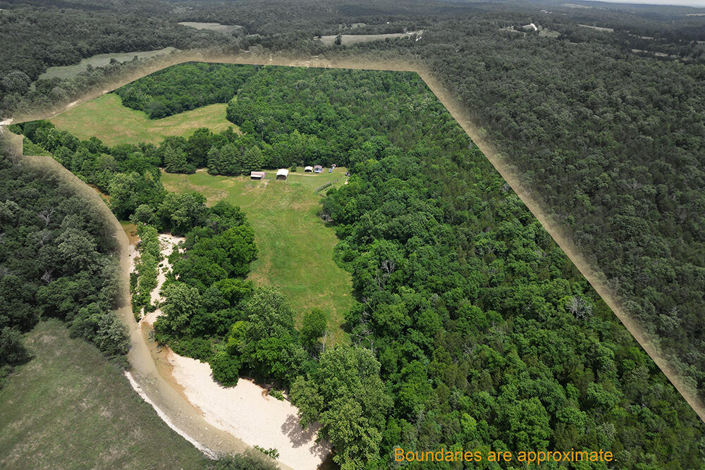 Photo 4 - Farm for sale – 2790  Stehle Road  Theodosia, MO