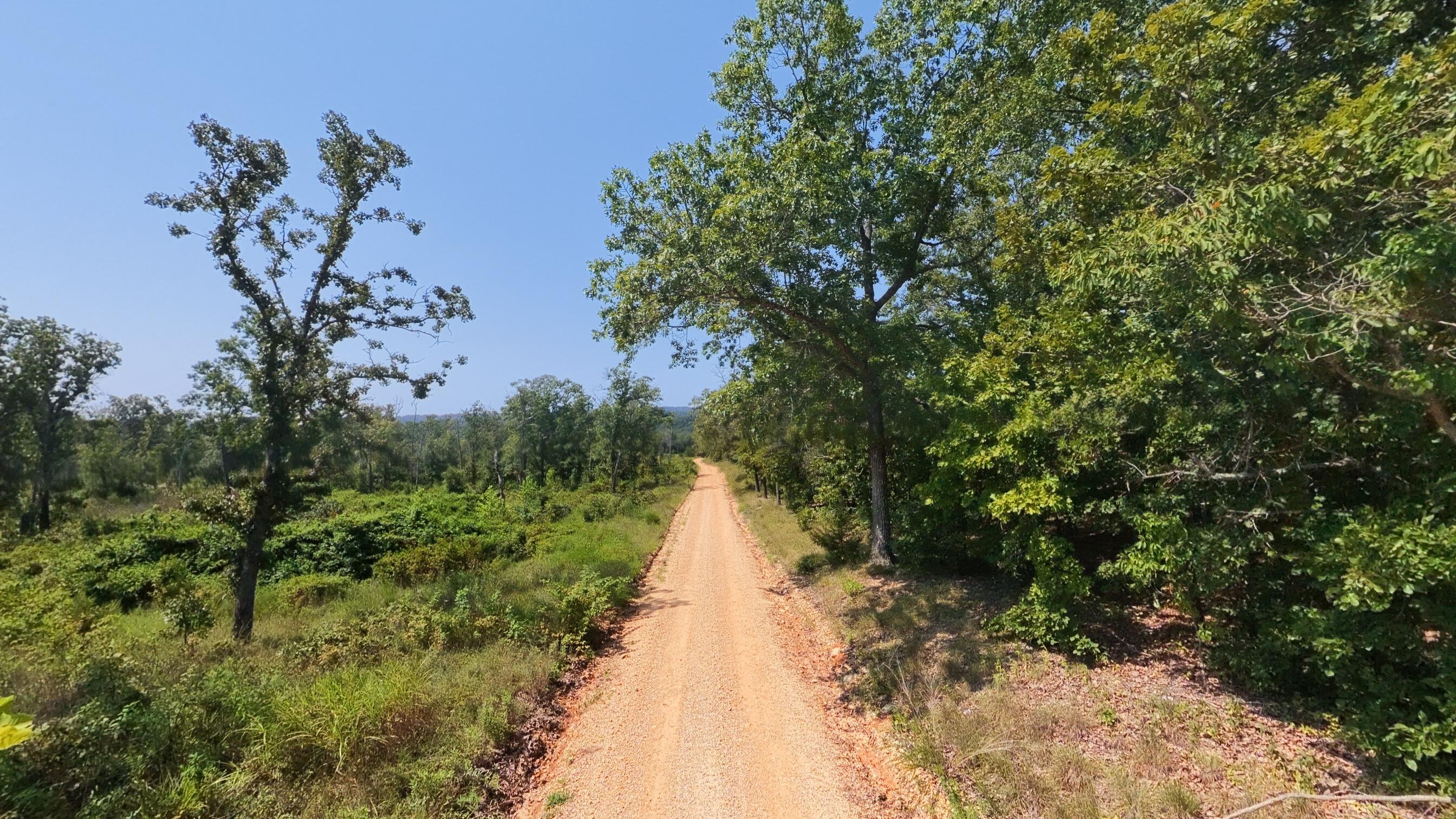 Photo 11 - Land for sale – 000  Z Highway  Koshkonong, MO