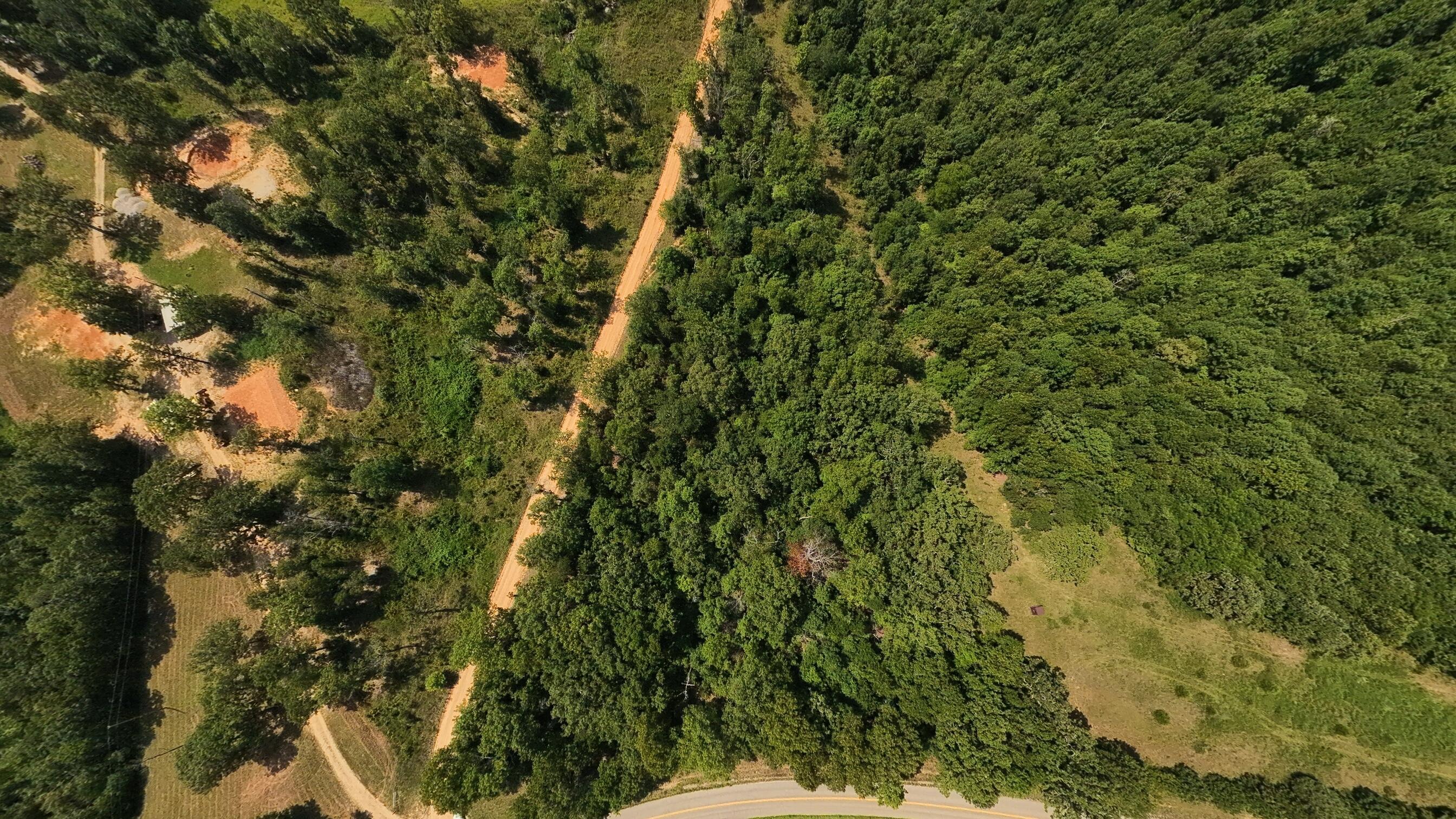 Photo 4 - Land for sale – 000  Z Highway  Koshkonong, MO