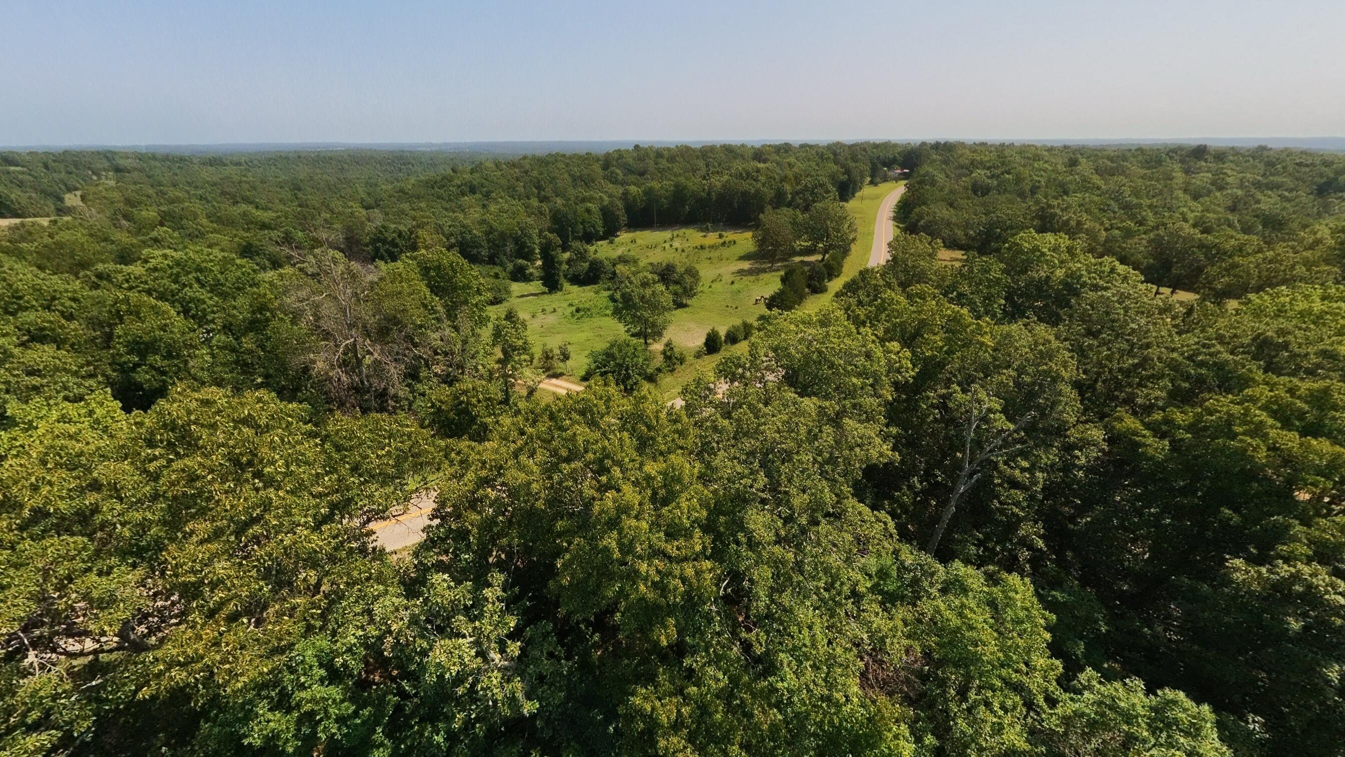 Photo 6 - Land for sale – 000  Z Highway  Koshkonong, MO