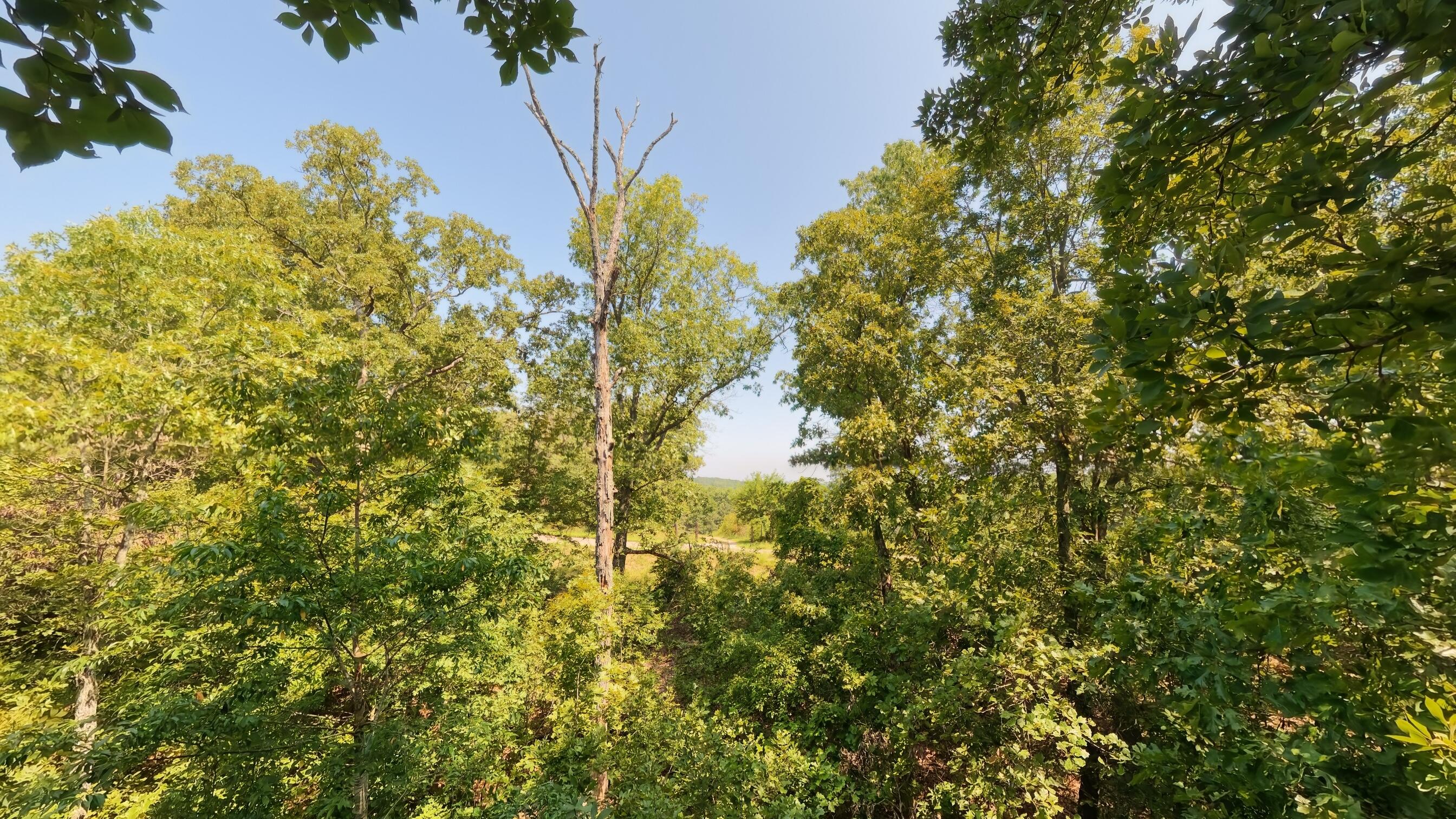 Photo 9 - Land for sale – 000  Z Highway  Koshkonong, MO
