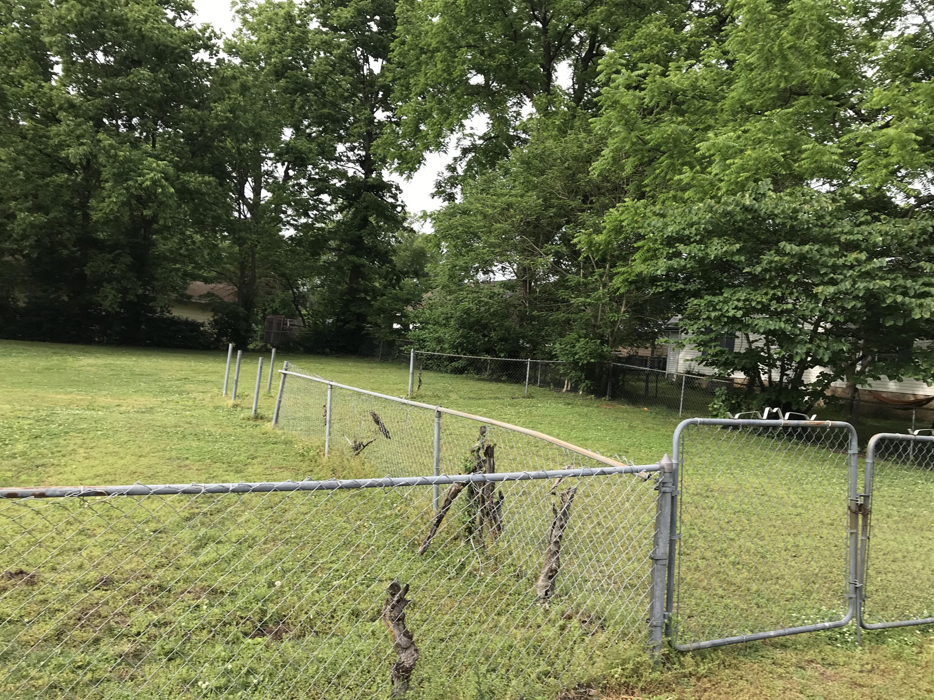Photo 2 - Land for sale – 000 W Benton Street  Buffalo, MO