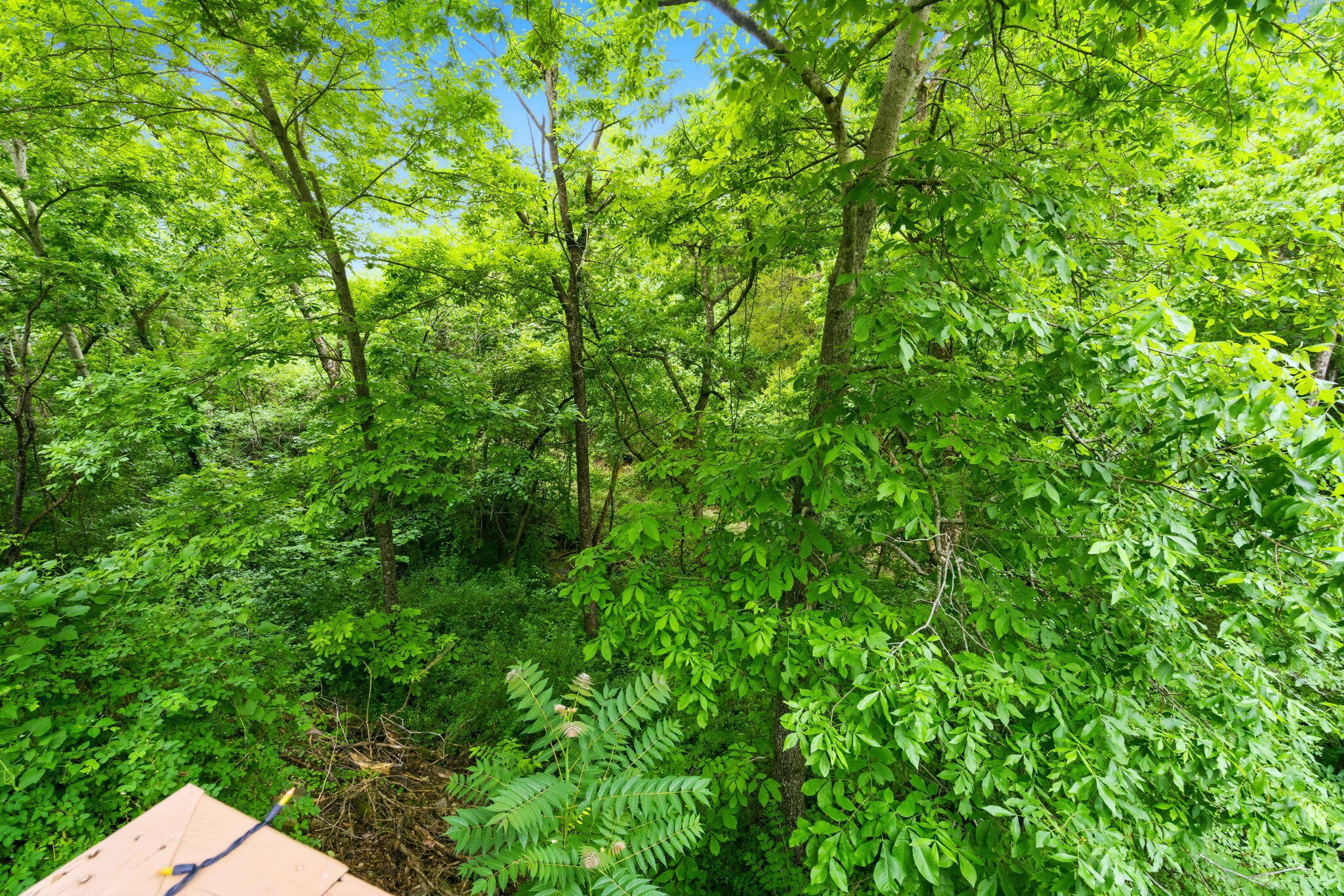 Photo 22 - Residential for sale – 169  Presbyterian Street  Hollister, MO
