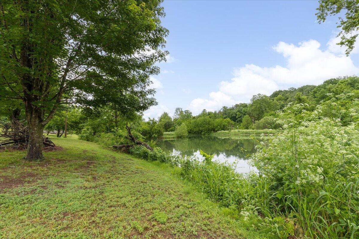 Photo 14 - Land for sale – 21  Lakeview Lane  Anderson, MO