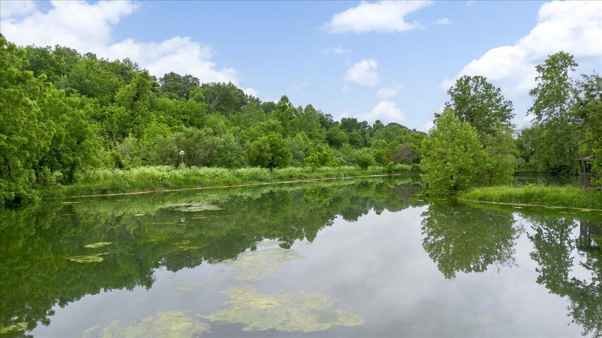 Photo 23 - Land for sale – 21  Lakeview Lane  Anderson, MO