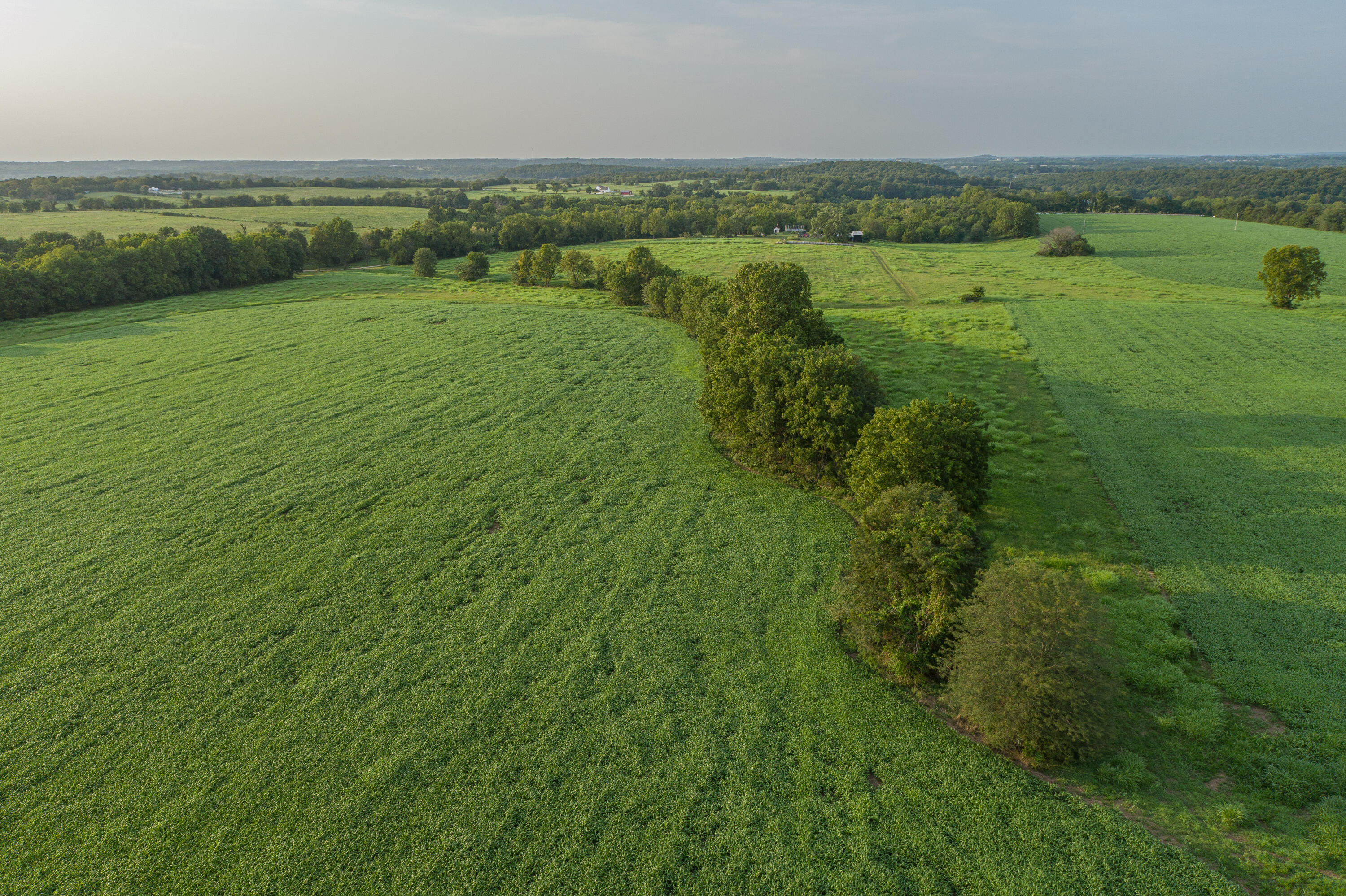 Photo 85 - Farm for sale – 5291 S 127th Road  Morrisville, MO
