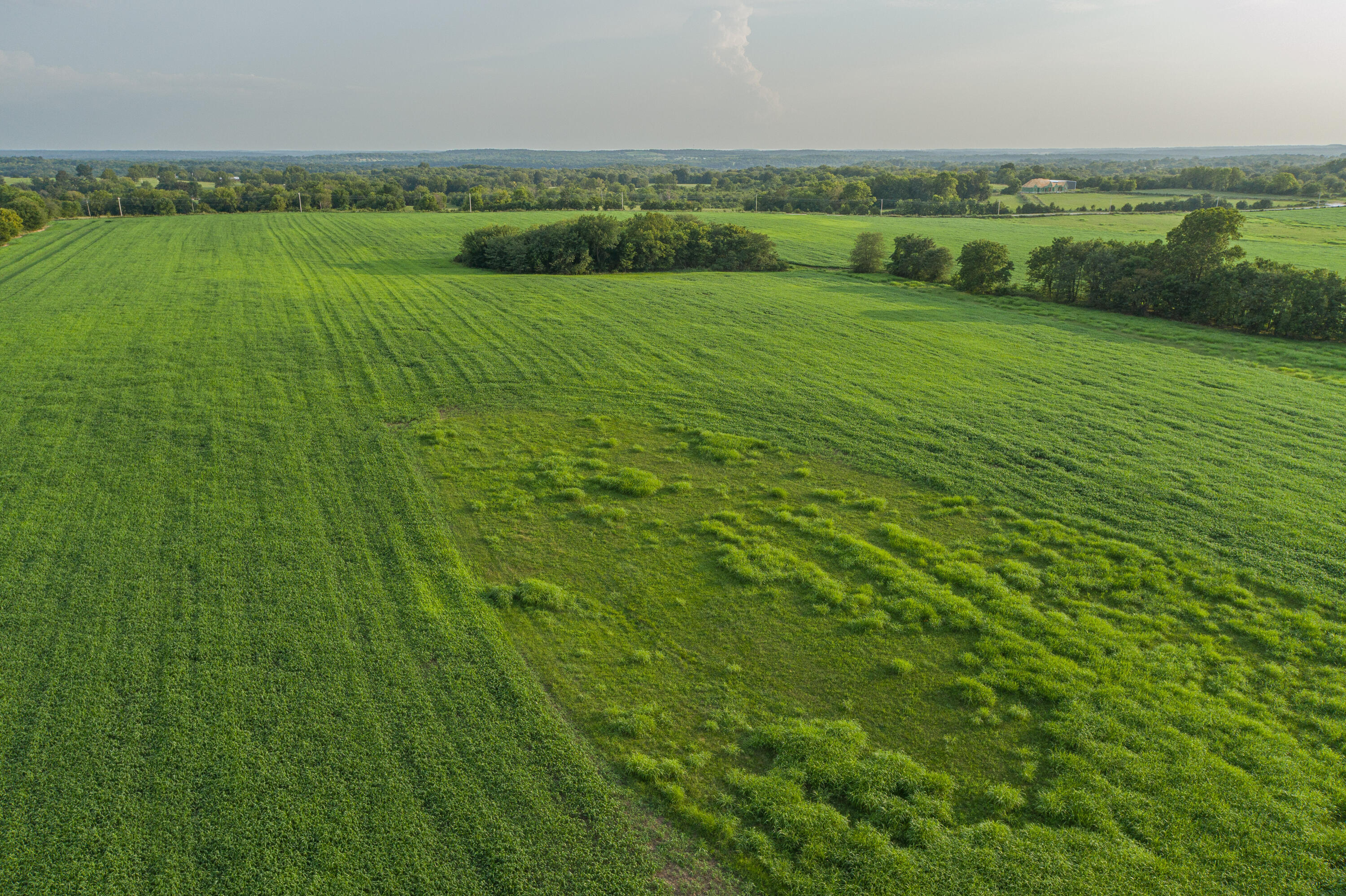 Photo 77 - Farm for sale – 5291 S 127th Road  Morrisville, MO