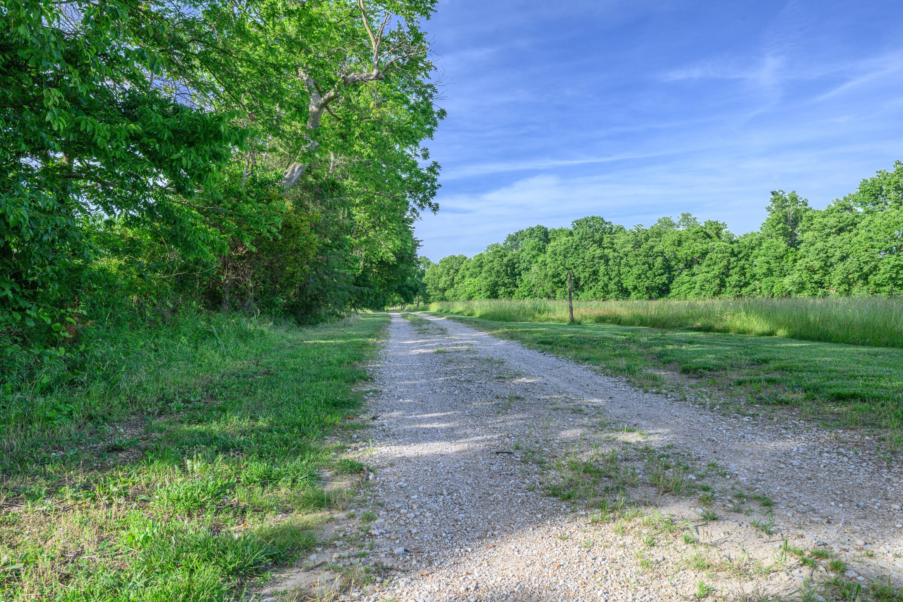 Photo 66 - Farm for sale – 5291 S 127th Road  Morrisville, MO