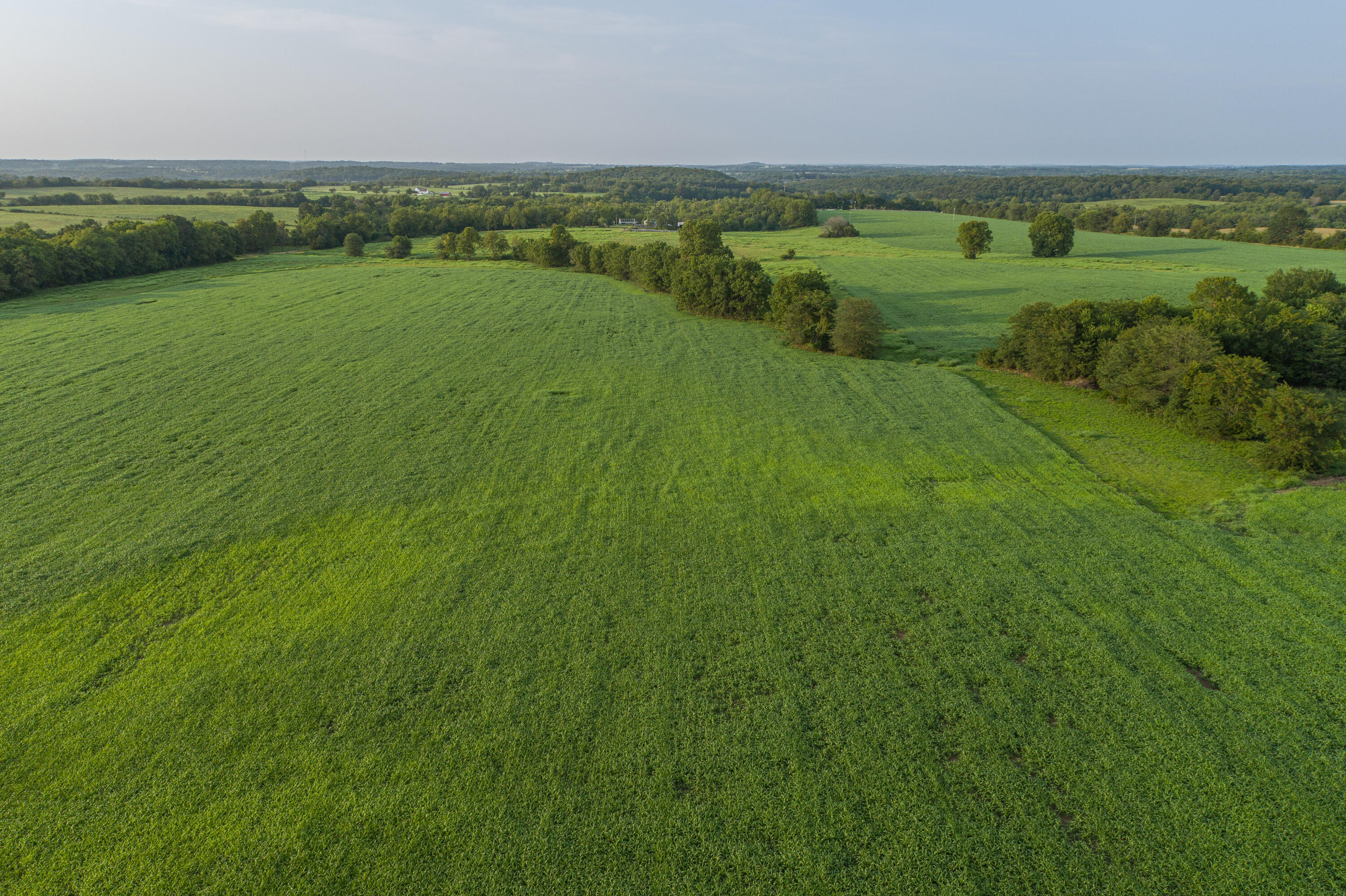 Photo 83 - Farm for sale – 5291 S 127th Road  Morrisville, MO