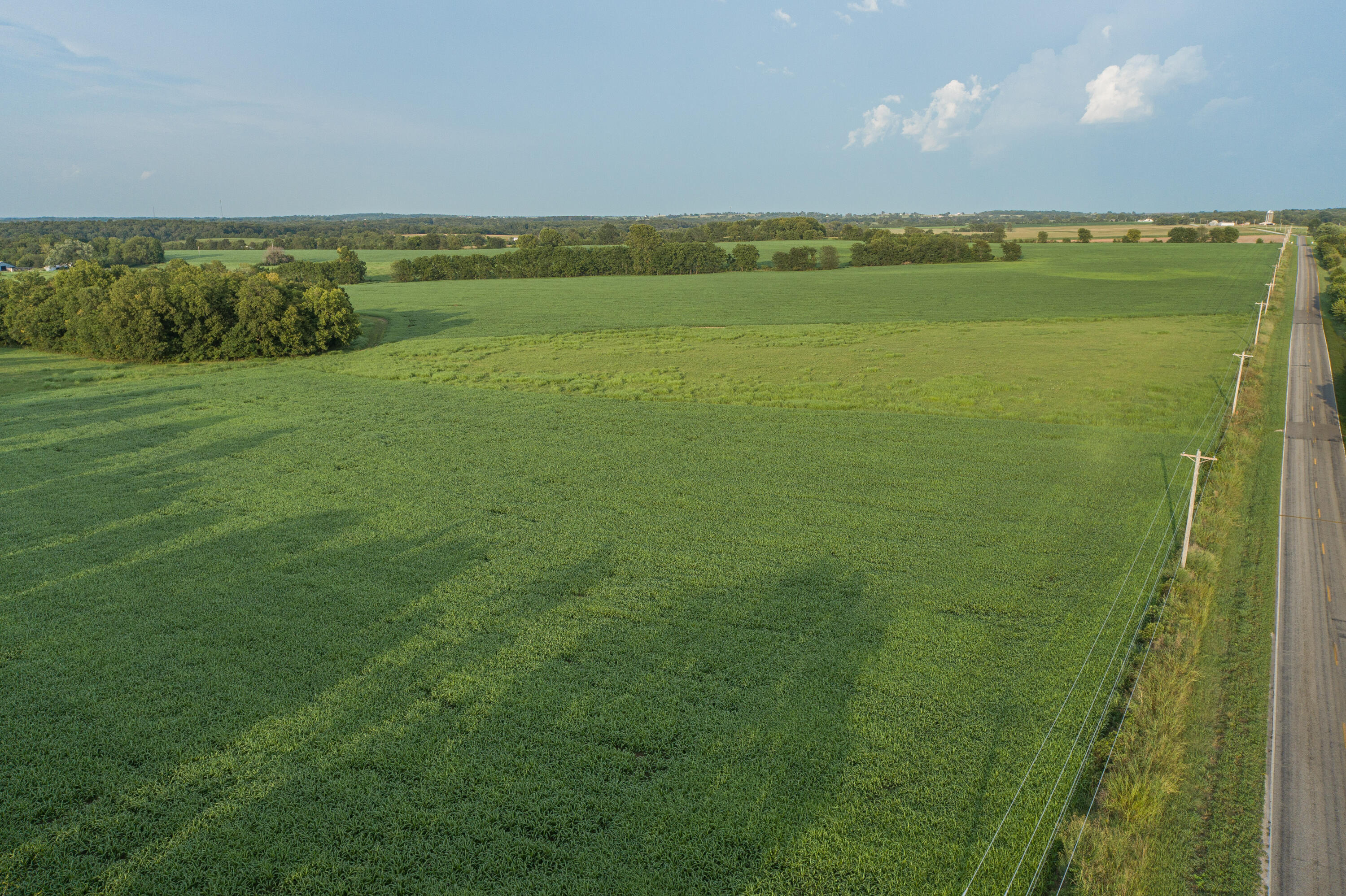 Photo 3 - Farm for sale – 5291 S 127th Road  Morrisville, MO