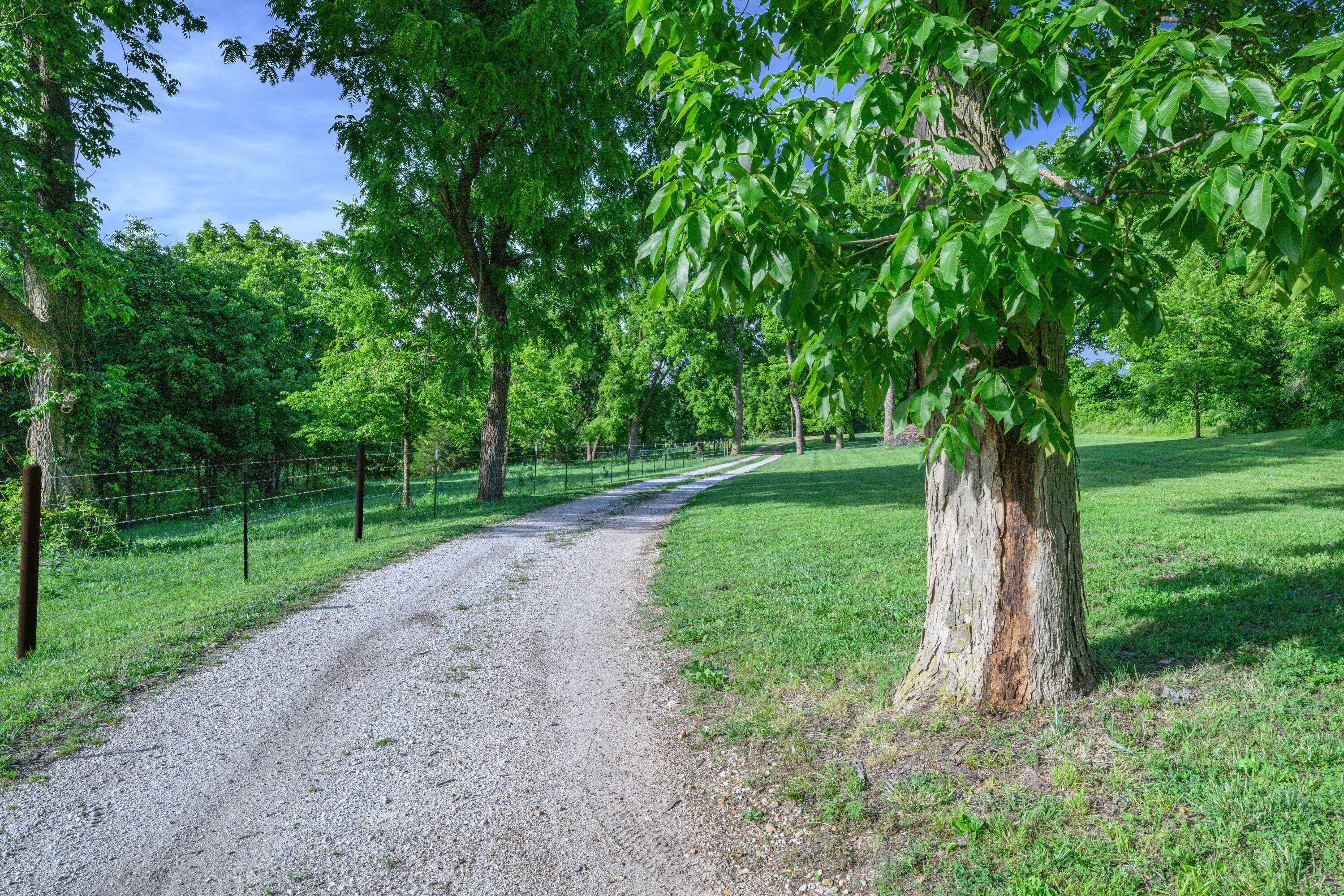 Photo 65 - Farm for sale – 5291 S 127th Road  Morrisville, MO