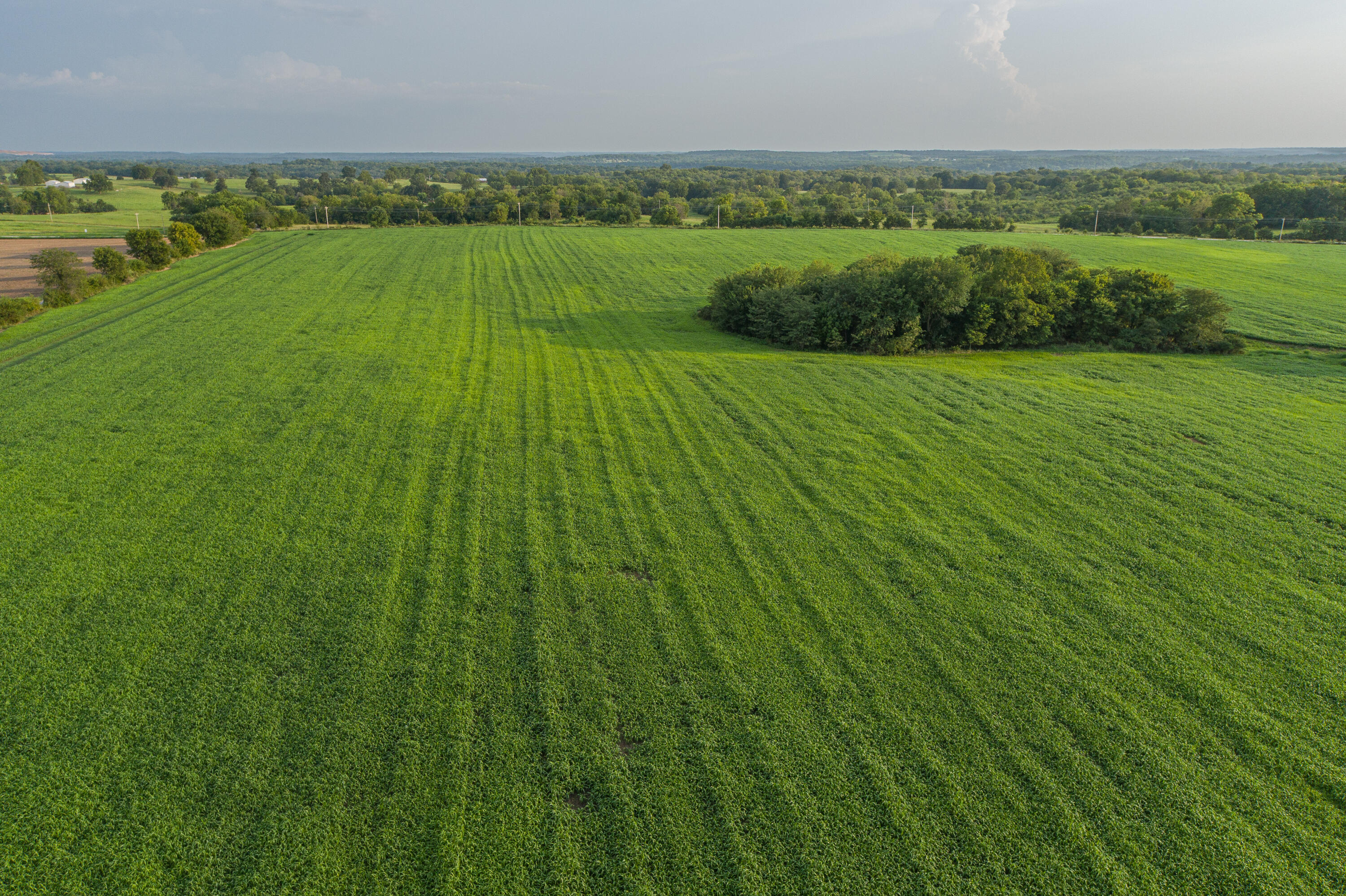 Photo 78 - Farm for sale – 5291 S 127th Road  Morrisville, MO