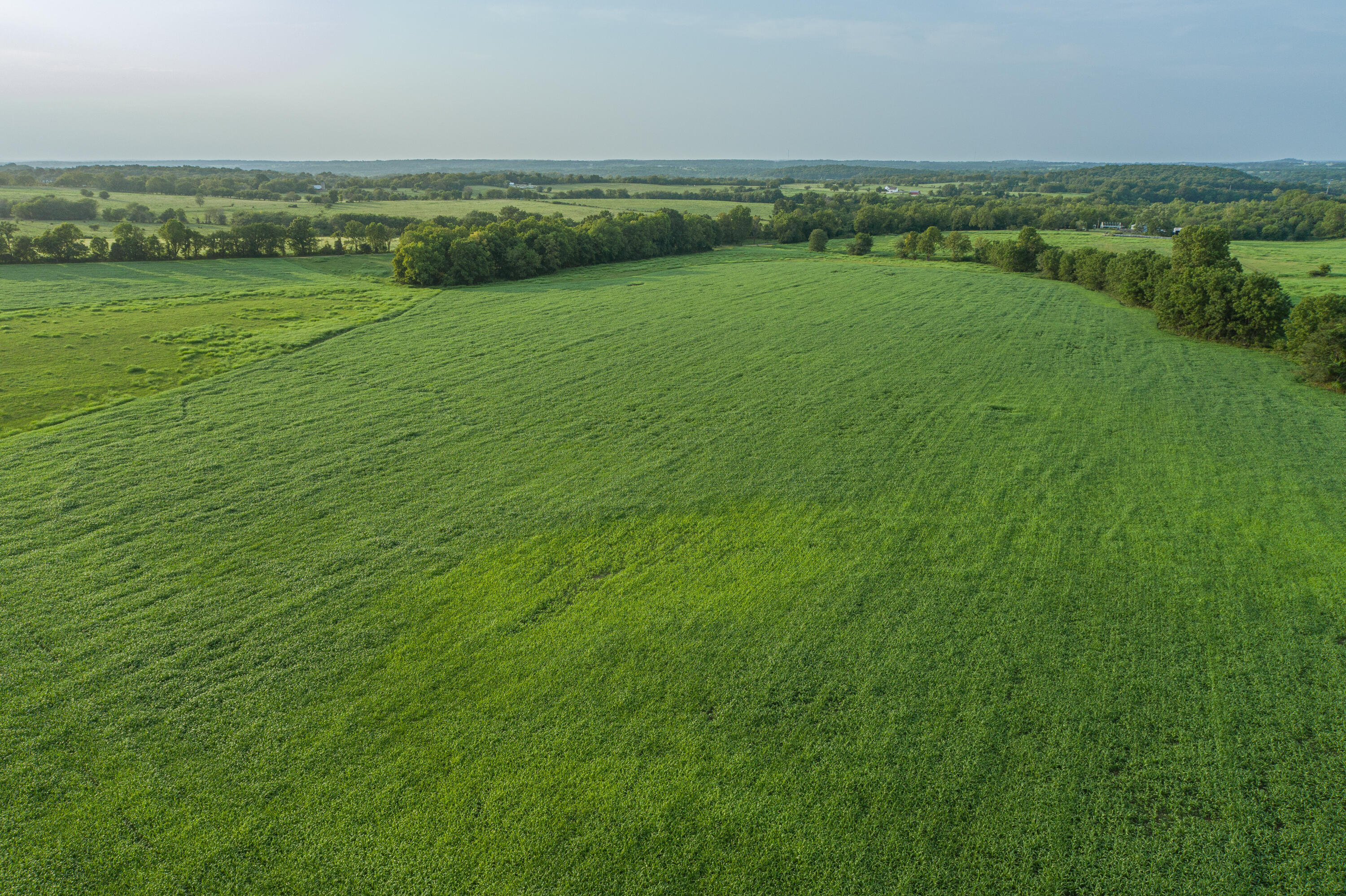 Photo 84 - Farm for sale – 5291 S 127th Road  Morrisville, MO