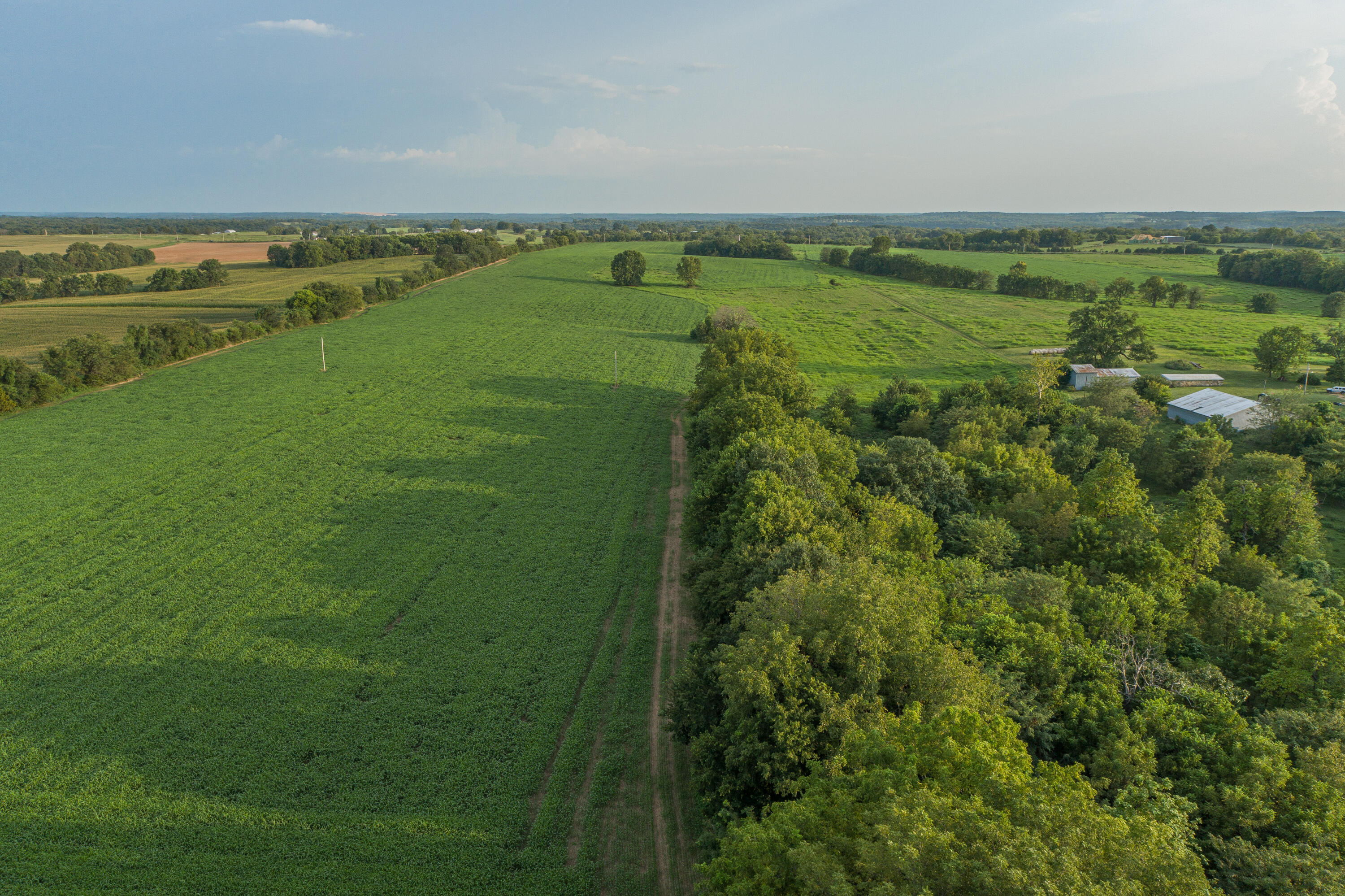 Photo 74 - Farm for sale – 5291 S 127th Road  Morrisville, MO