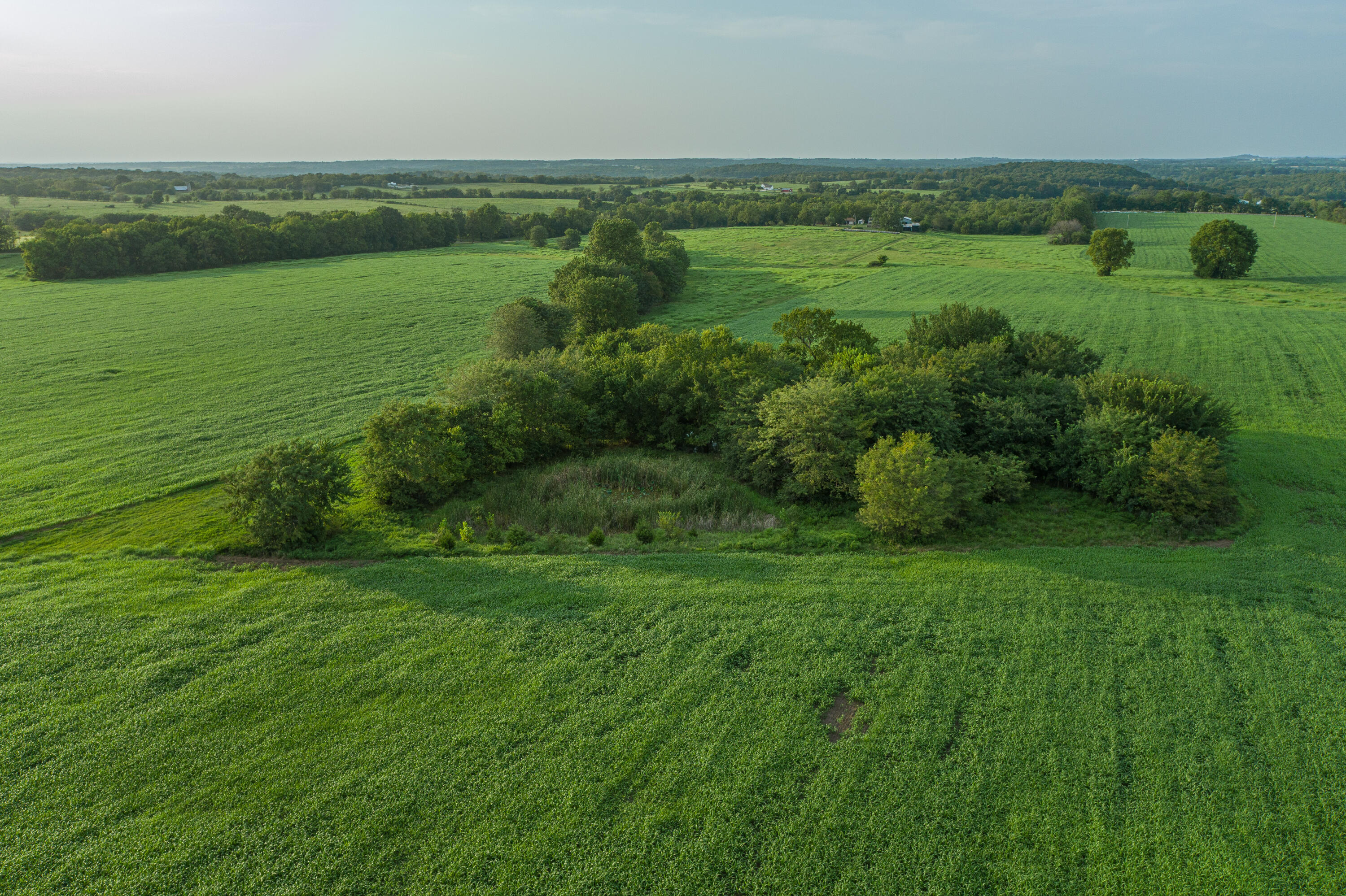 Photo 80 - Farm for sale – 5291 S 127th Road  Morrisville, MO
