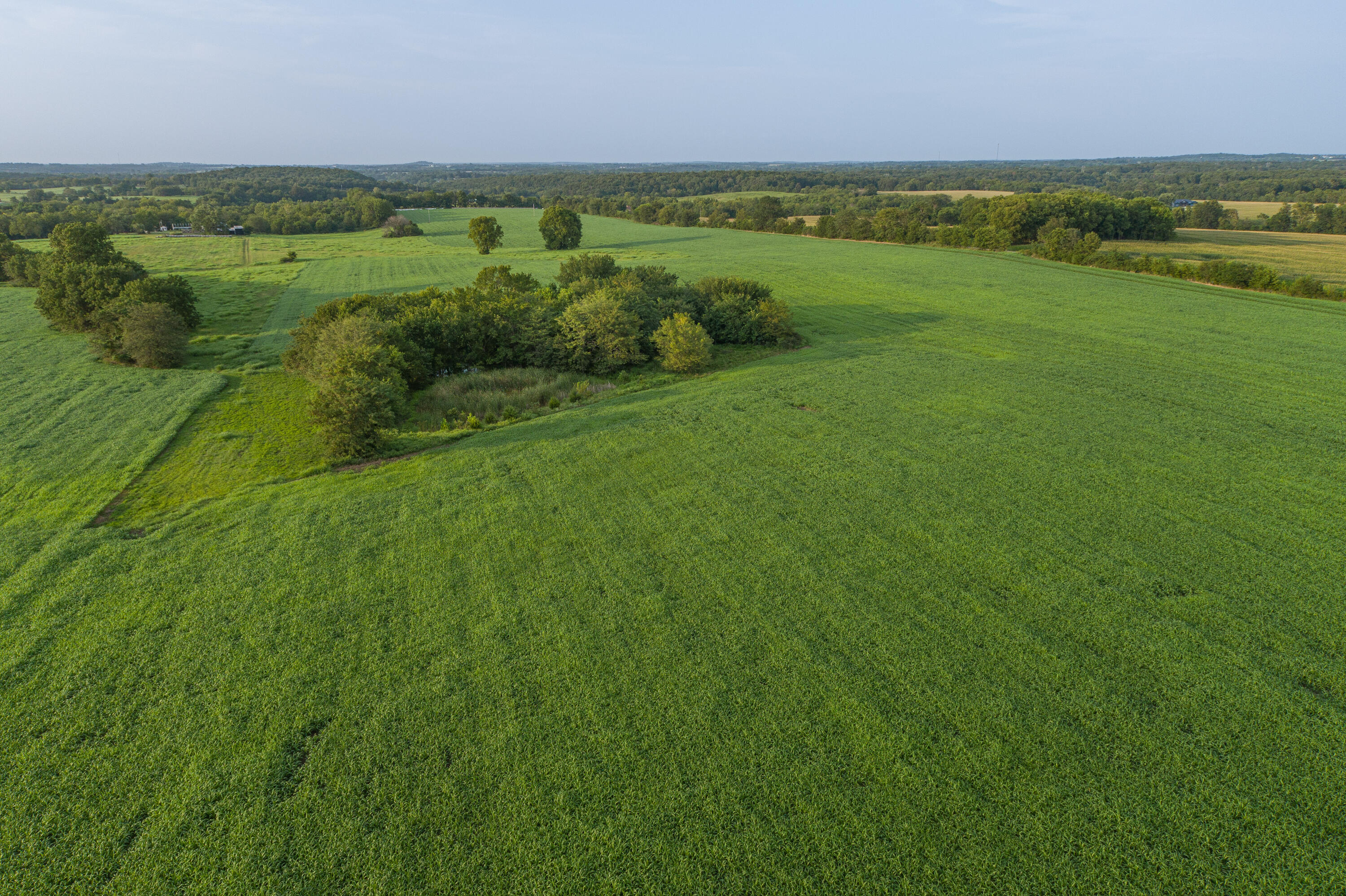 Photo 81 - Farm for sale – 5291 S 127th Road  Morrisville, MO