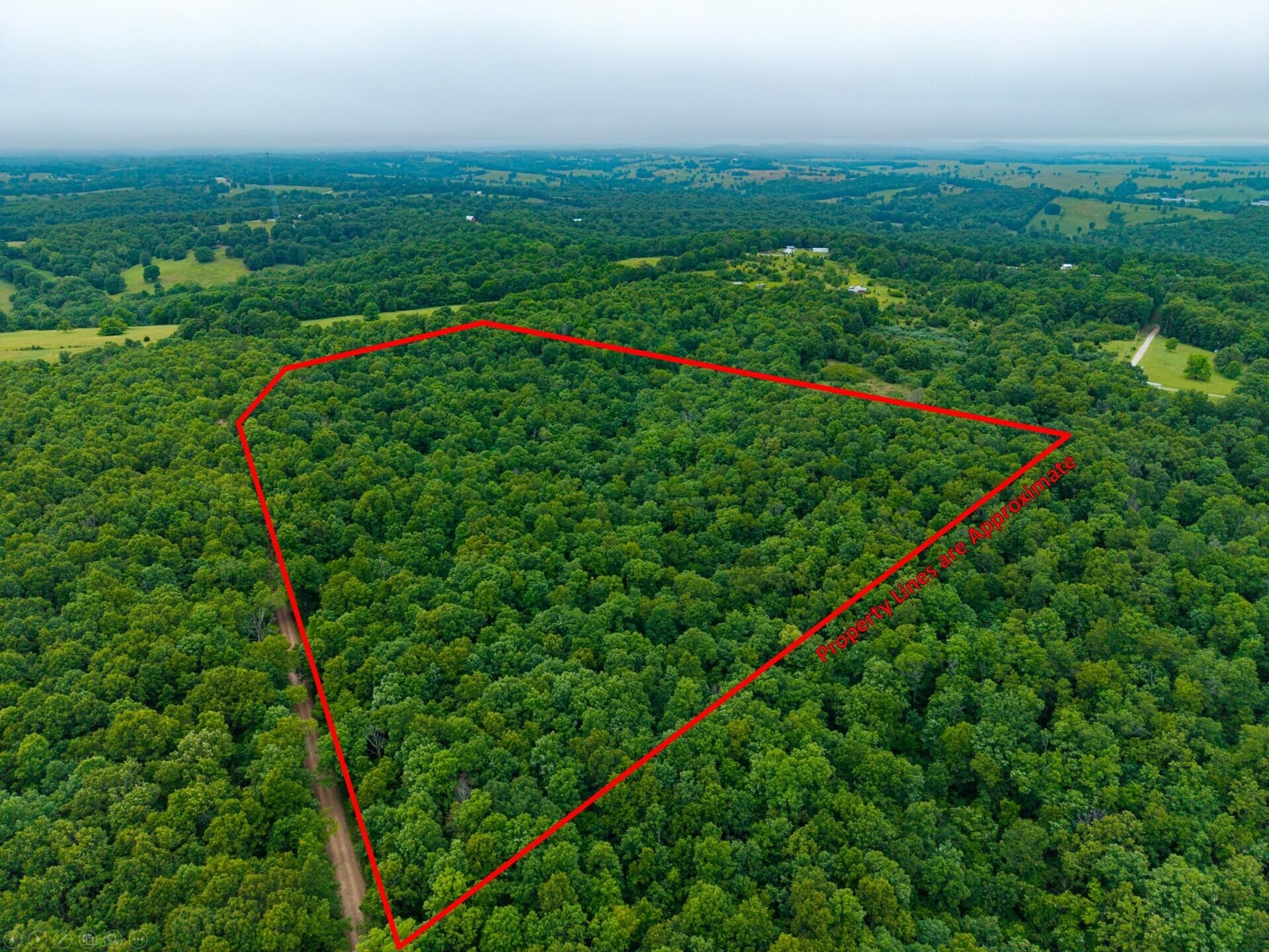 Photo 6 - Land for sale – 000  Co Rd 521   Hardenville, MO