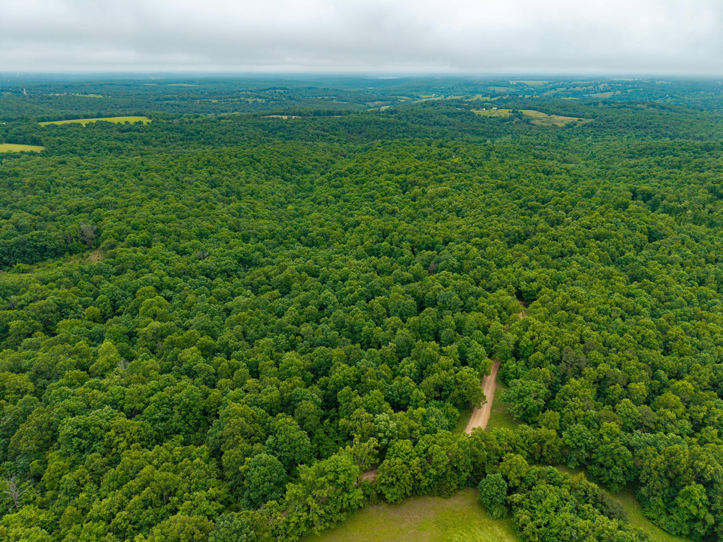Photo 5 - Land for sale – 000  Co Rd 521   Hardenville, MO