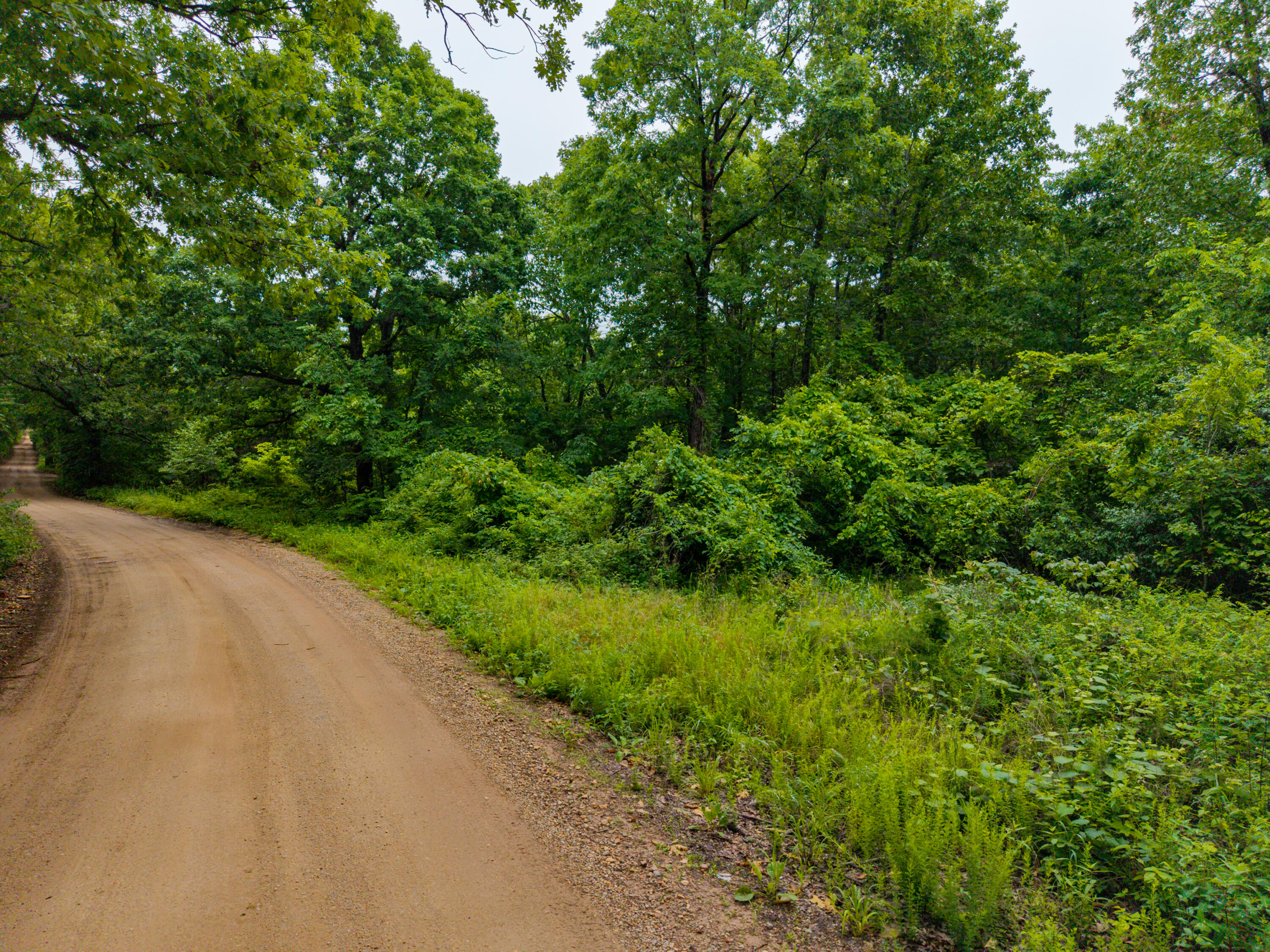 Photo 11 - Land for sale – 000  Co Rd 521   Hardenville, MO