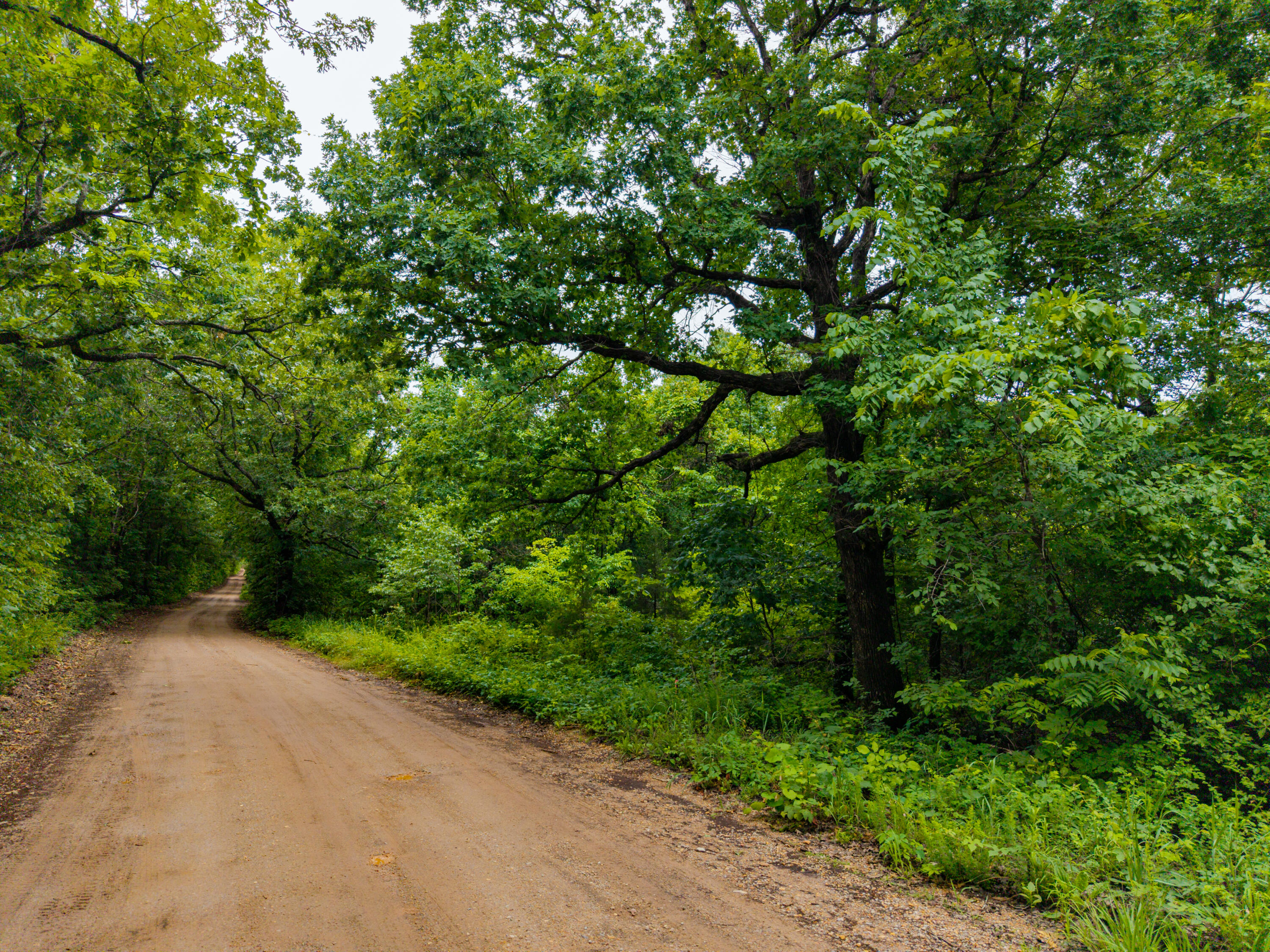 Photo 10 - Land for sale – 000  Co Rd 521   Hardenville, MO