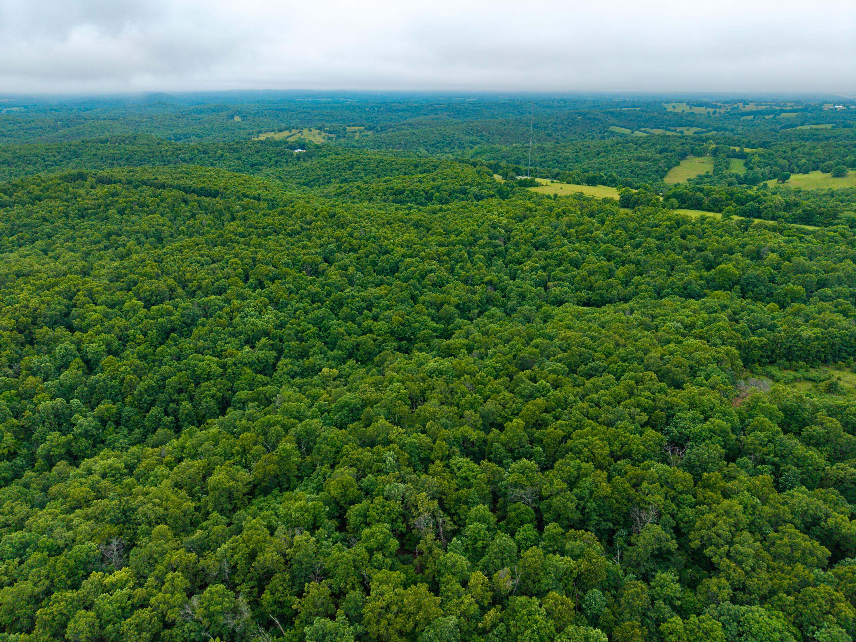 Photo 8 - Land for sale – 000  Co Rd 521   Hardenville, MO