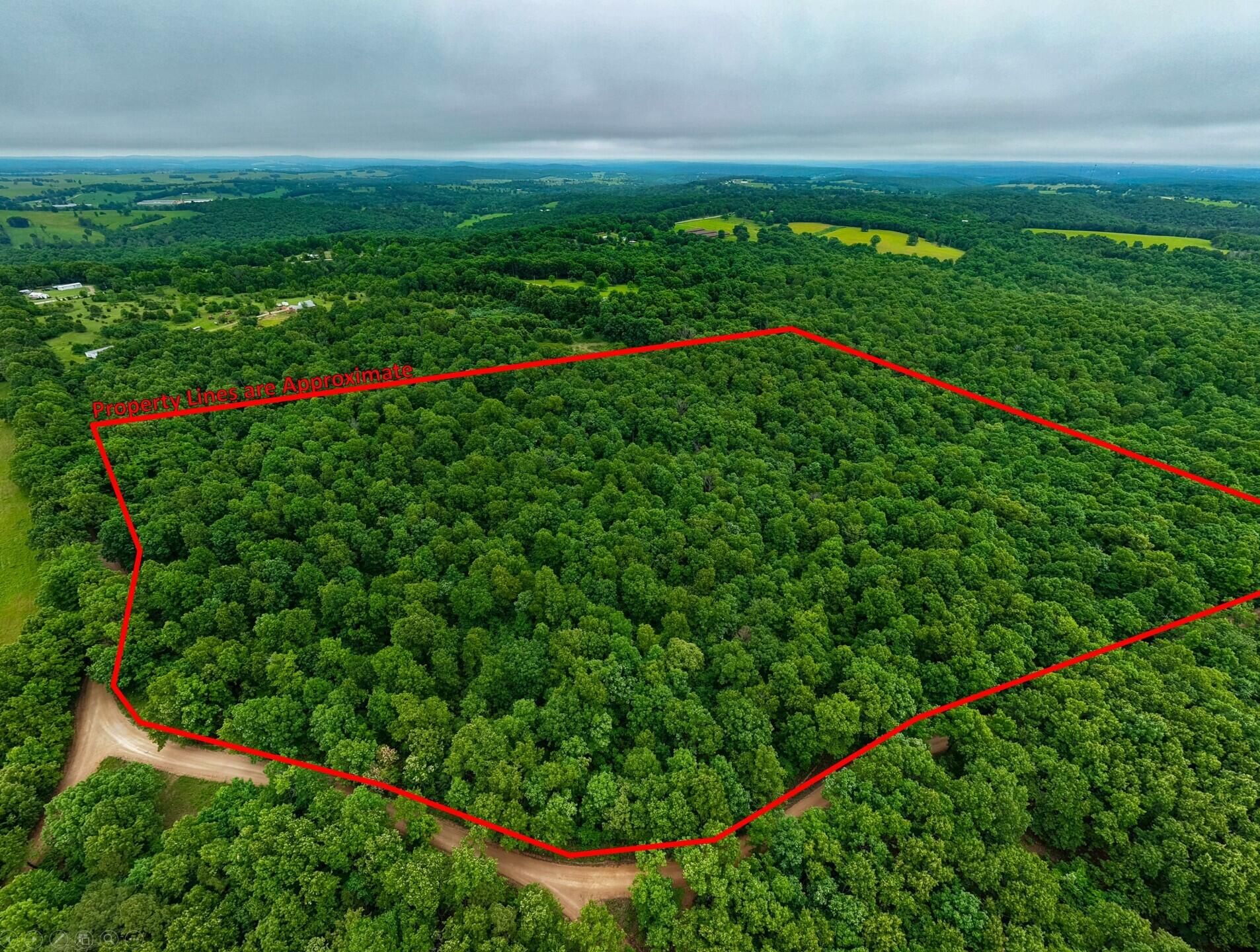 Photo 3 - Land for sale – 000  Co Rd 521   Hardenville, MO