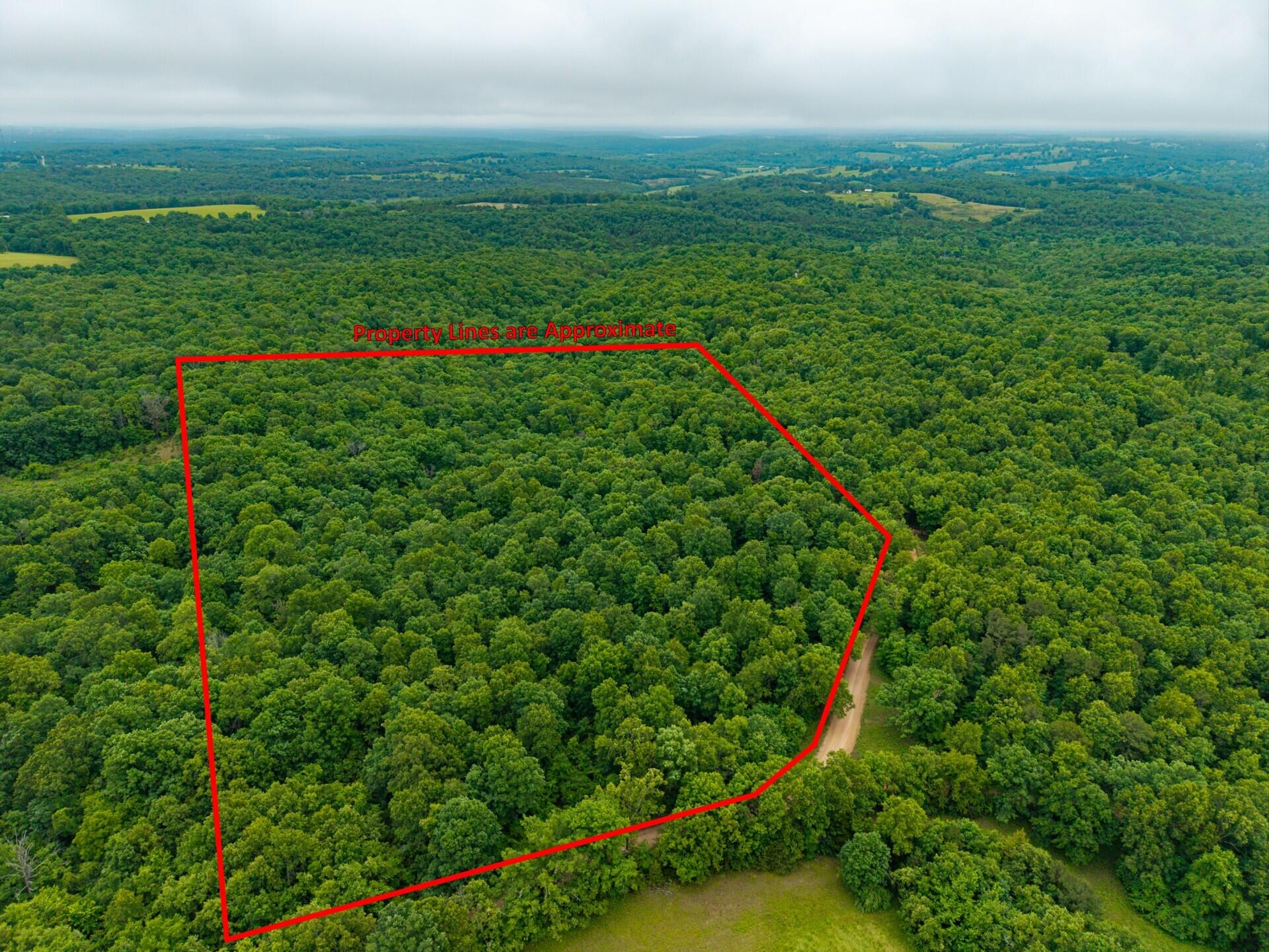 Photo 4 - Land for sale – 000  Co Rd 521   Hardenville, MO