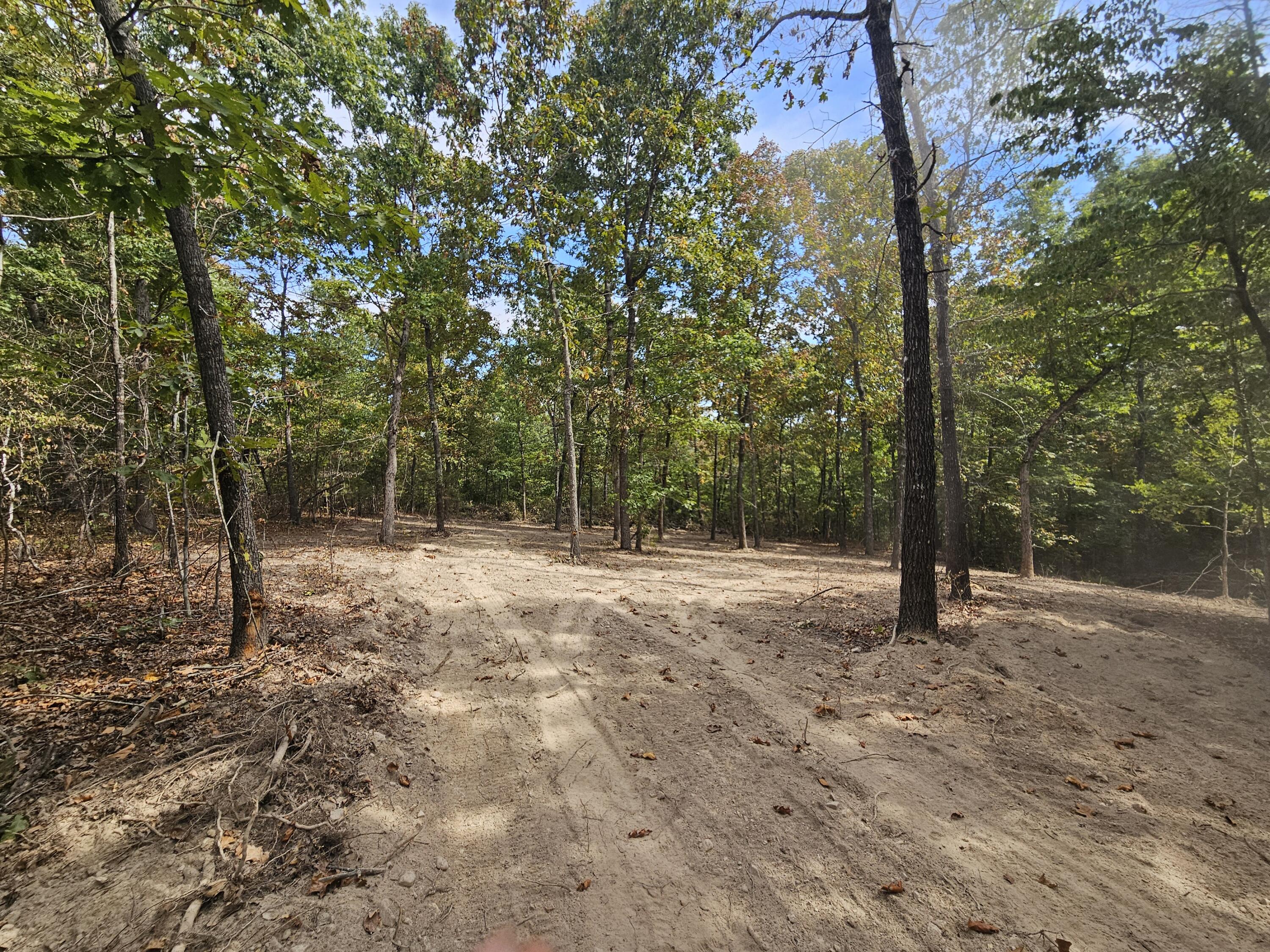 Photo 2 - Land for sale – 000  Co Rd 521   Hardenville, MO