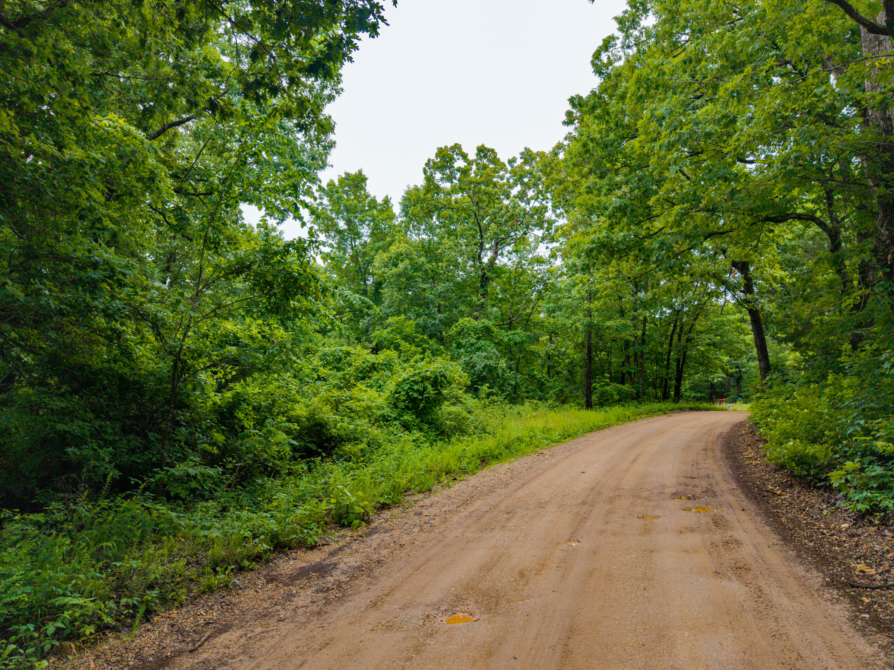 Photo 9 - Land for sale – 000  Co Rd 521   Hardenville, MO