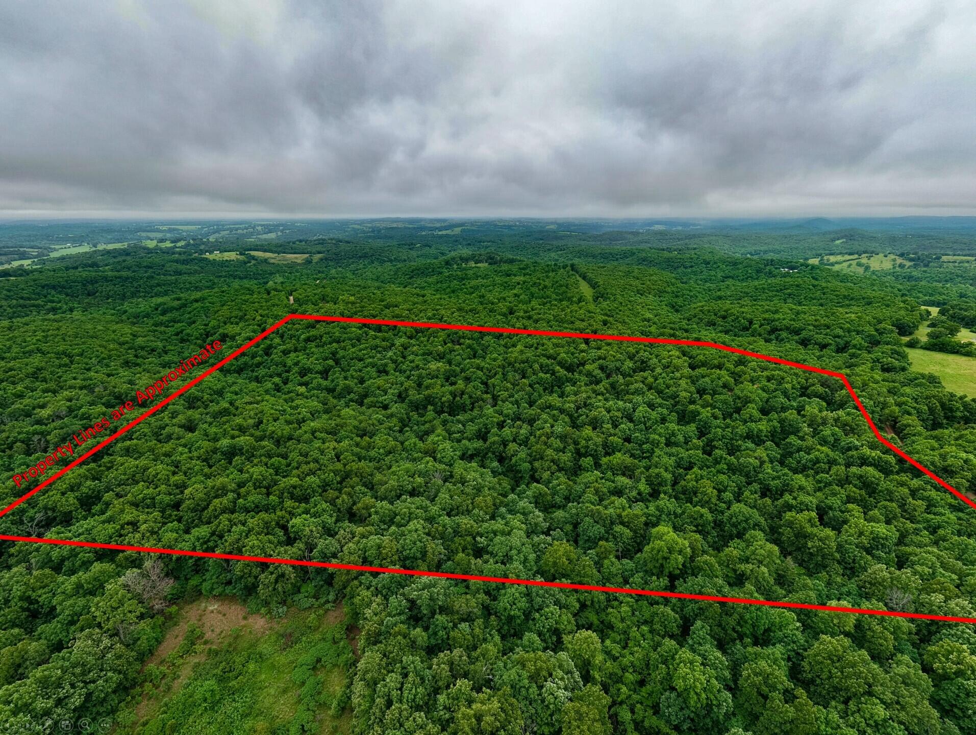 Photo 7 - Land for sale – 000  Co Rd 521   Hardenville, MO