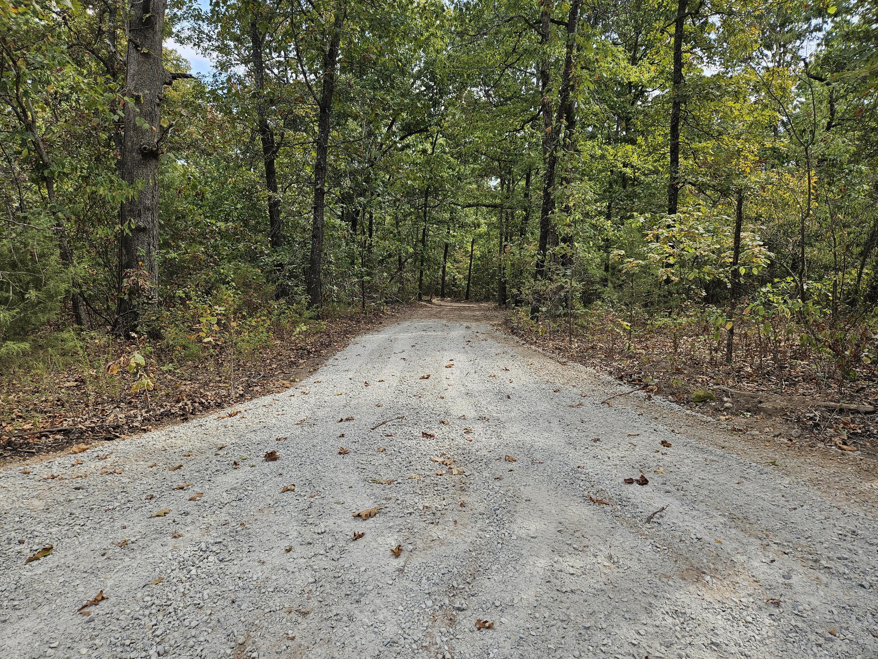 Land for sale – 000 Co Rd 521 Hardenville, MO