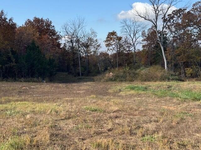 Photo 6 - Land for sale – 26511  Farm Road 1255   Golden, MO