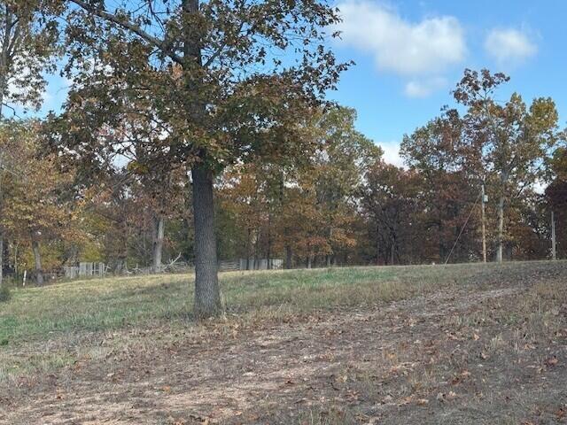 Photo 8 - Land for sale – 26511  Farm Road 1255   Golden, MO