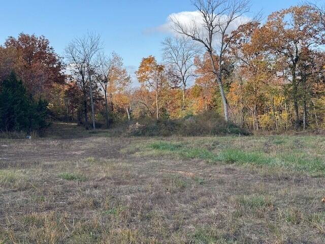 Photo 4 - Land for sale – 26511  Farm Road 1255   Golden, MO