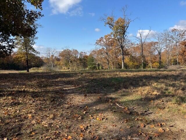 Photo 7 - Land for sale – 26511  Farm Road 1255   Golden, MO