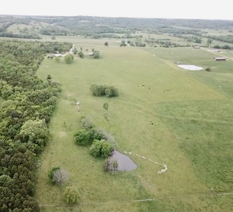 Photo 54 - Residential for sale – 11830  Farm Road 1195   Aurora, MO