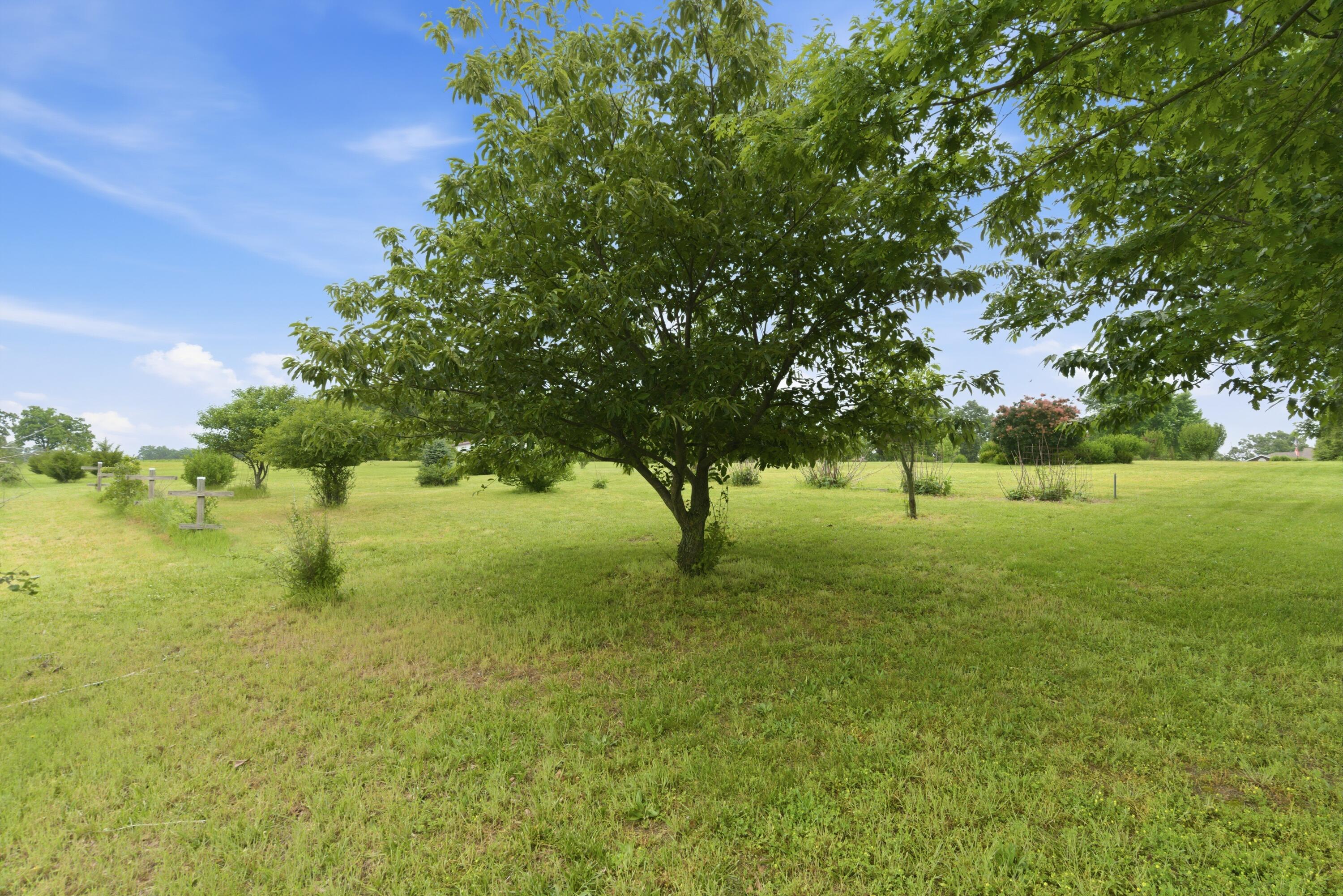 Photo 10 - Land for sale – 000  1475 Rd   Stockton, MO