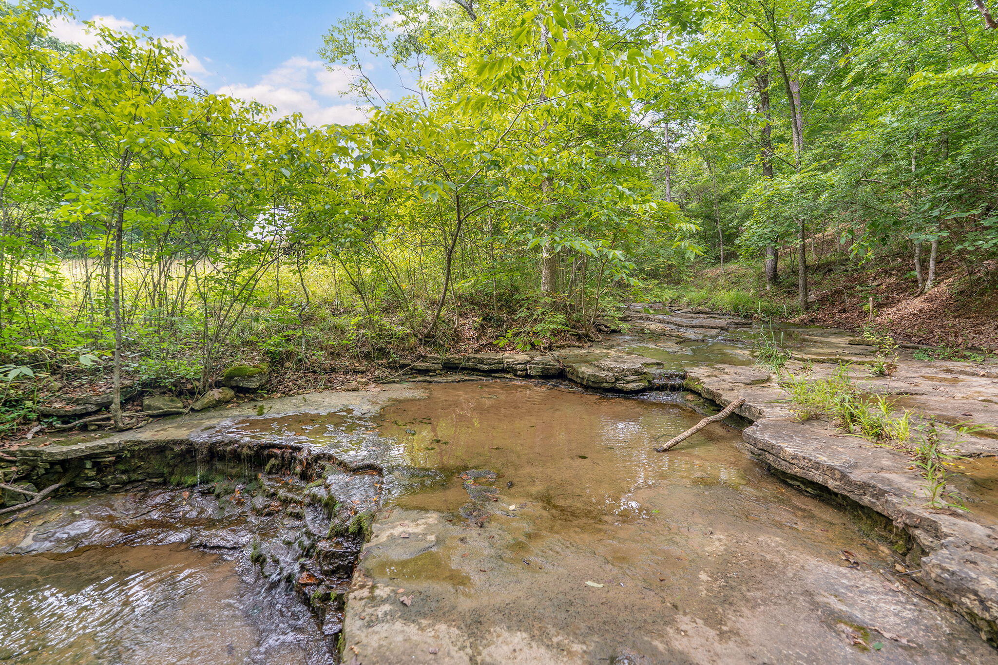 Photo 17 - Land for sale – 000  State Highway 265   Branson, MO