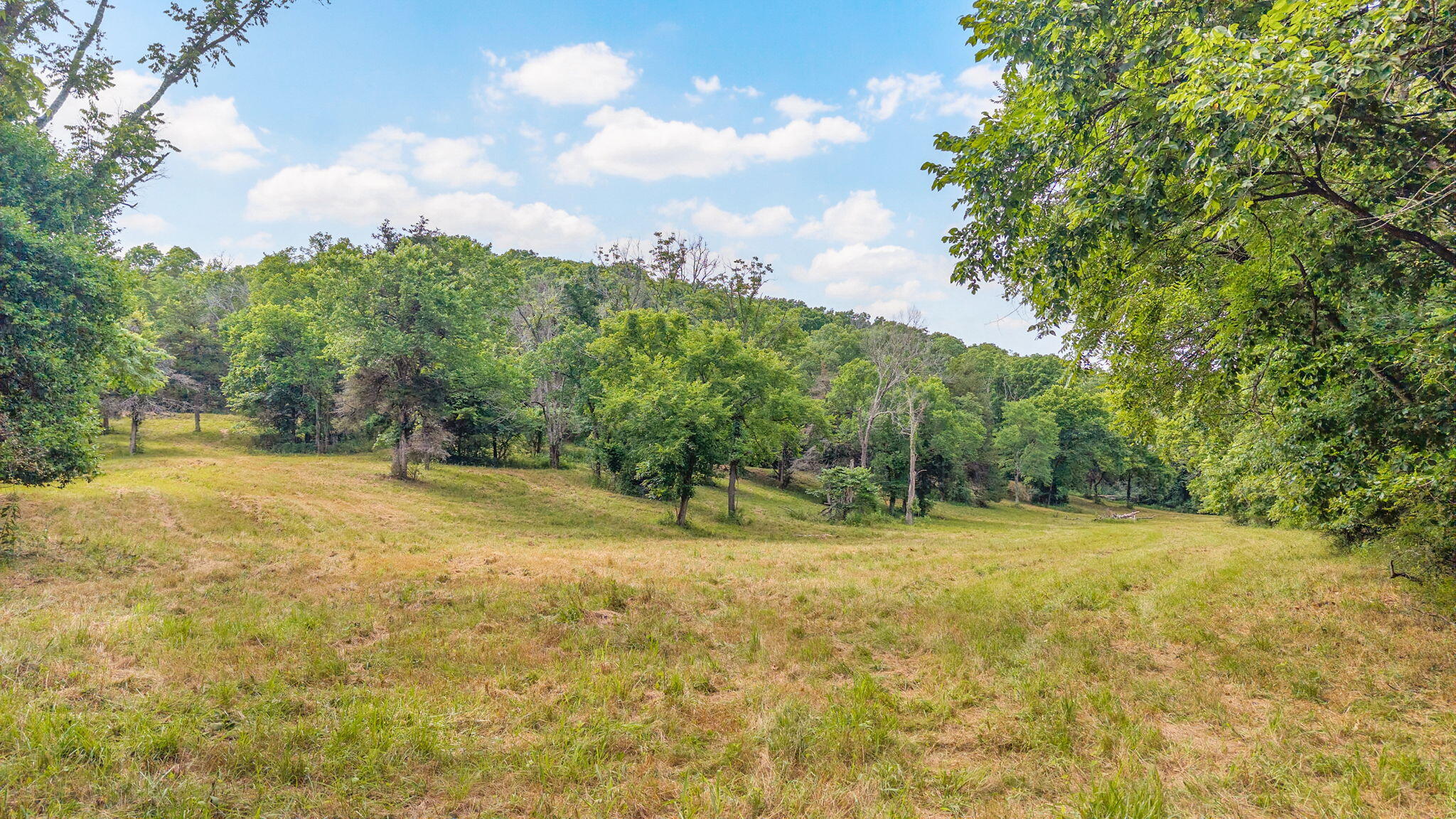 Photo 4 - Land for sale – 000  State Highway 265   Branson, MO