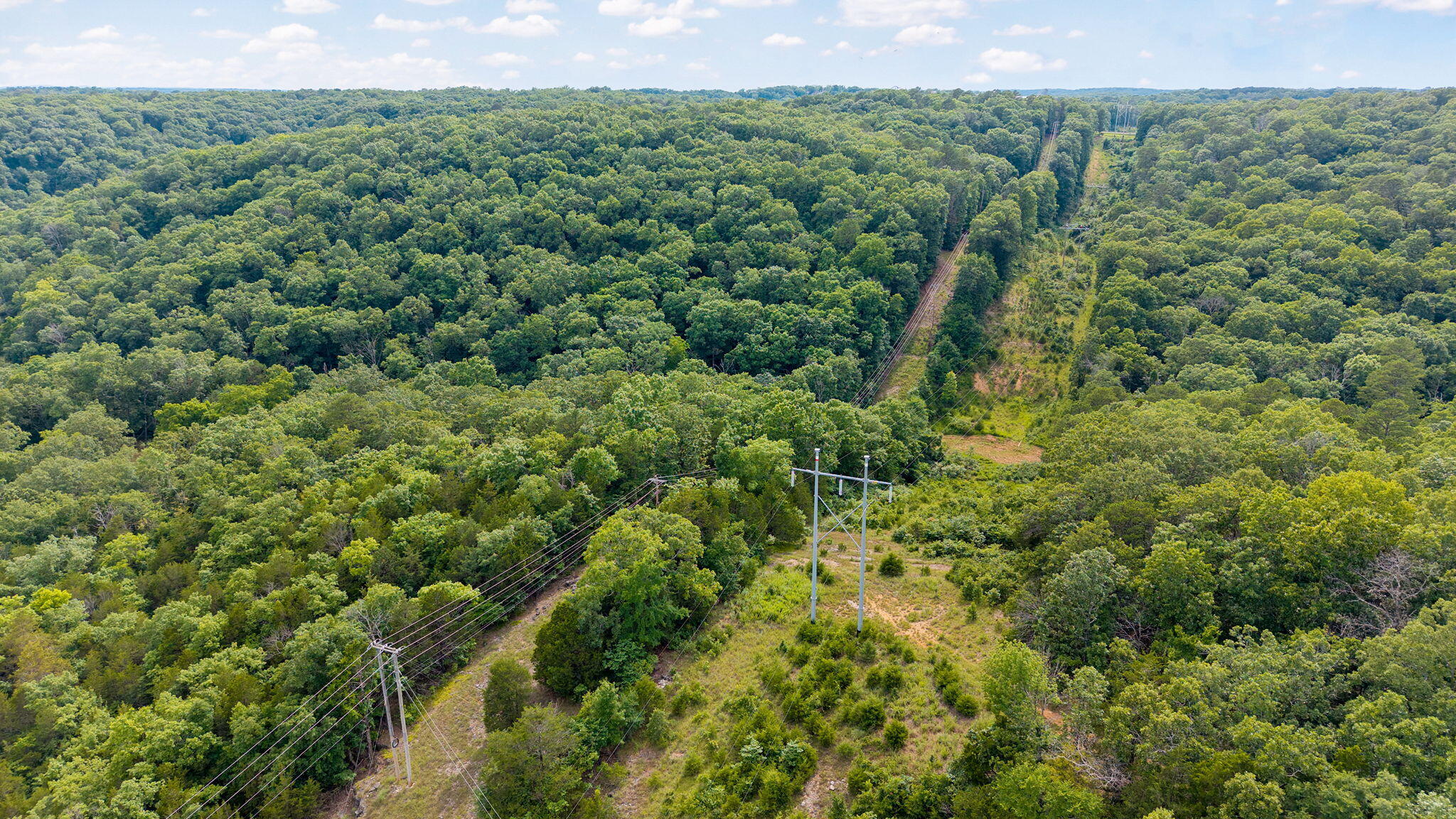 Photo 27 - Land for sale – 000  State Highway 265   Branson, MO