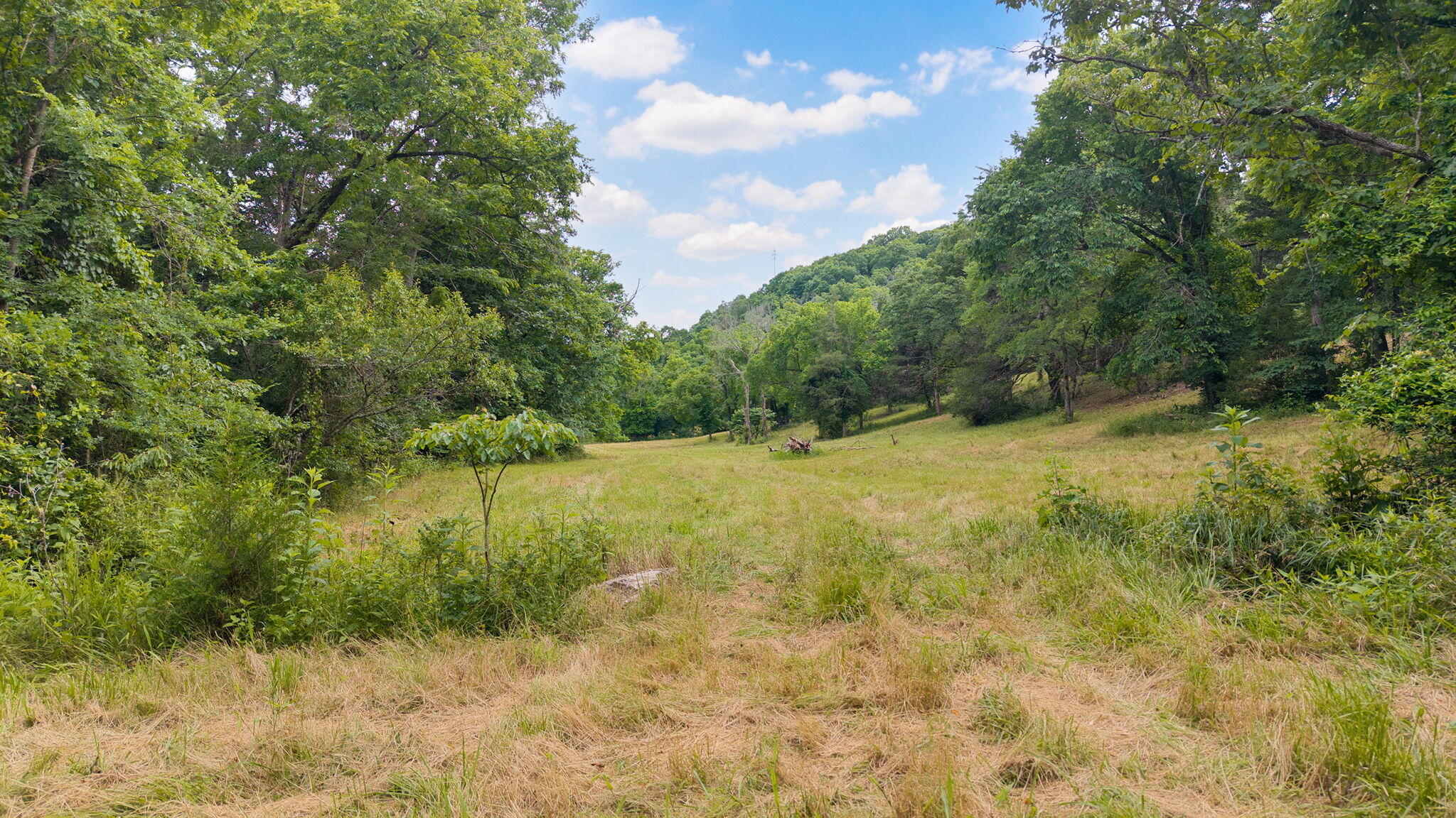 Photo 7 - Land for sale – 000  State Highway 265   Branson, MO