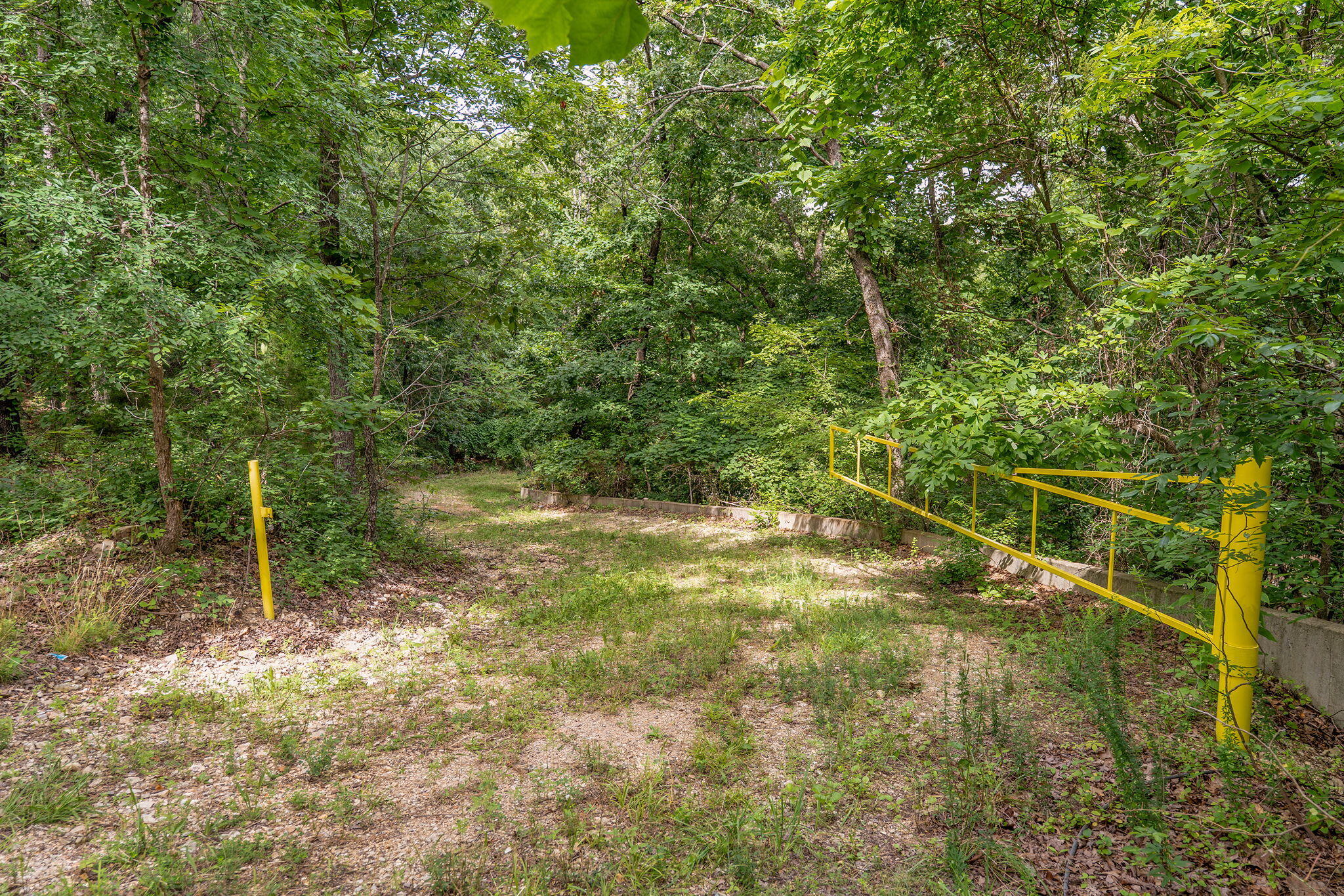 Photo 9 - Land for sale – 000  State Highway 265   Branson, MO