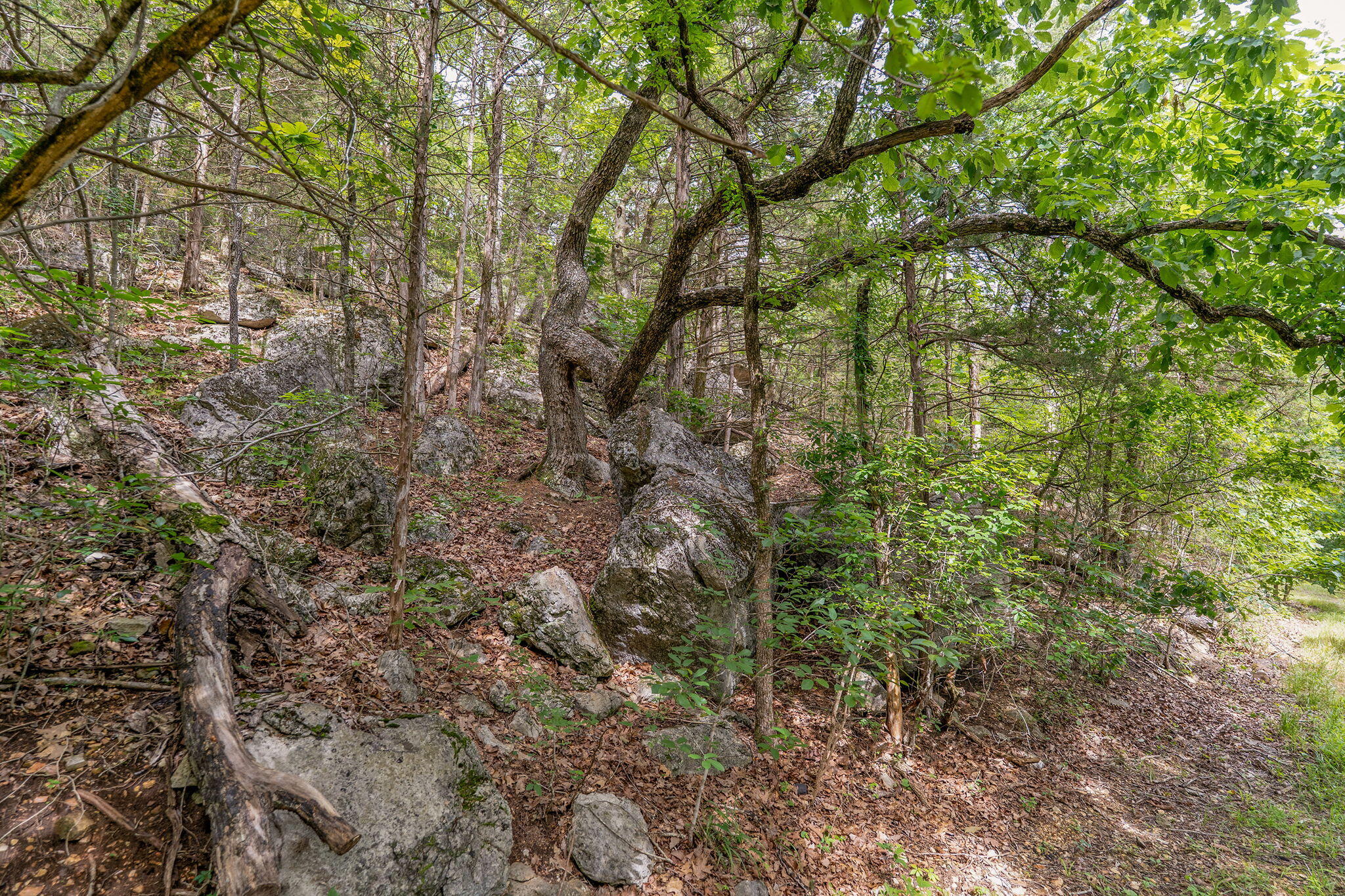 Photo 11 - Land for sale – 000  State Highway 265   Branson, MO